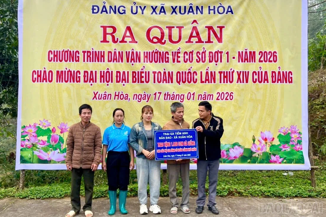 baolaocai-br_z7440585993339-2aacc938aef385f8b73c622947aead26.jpg