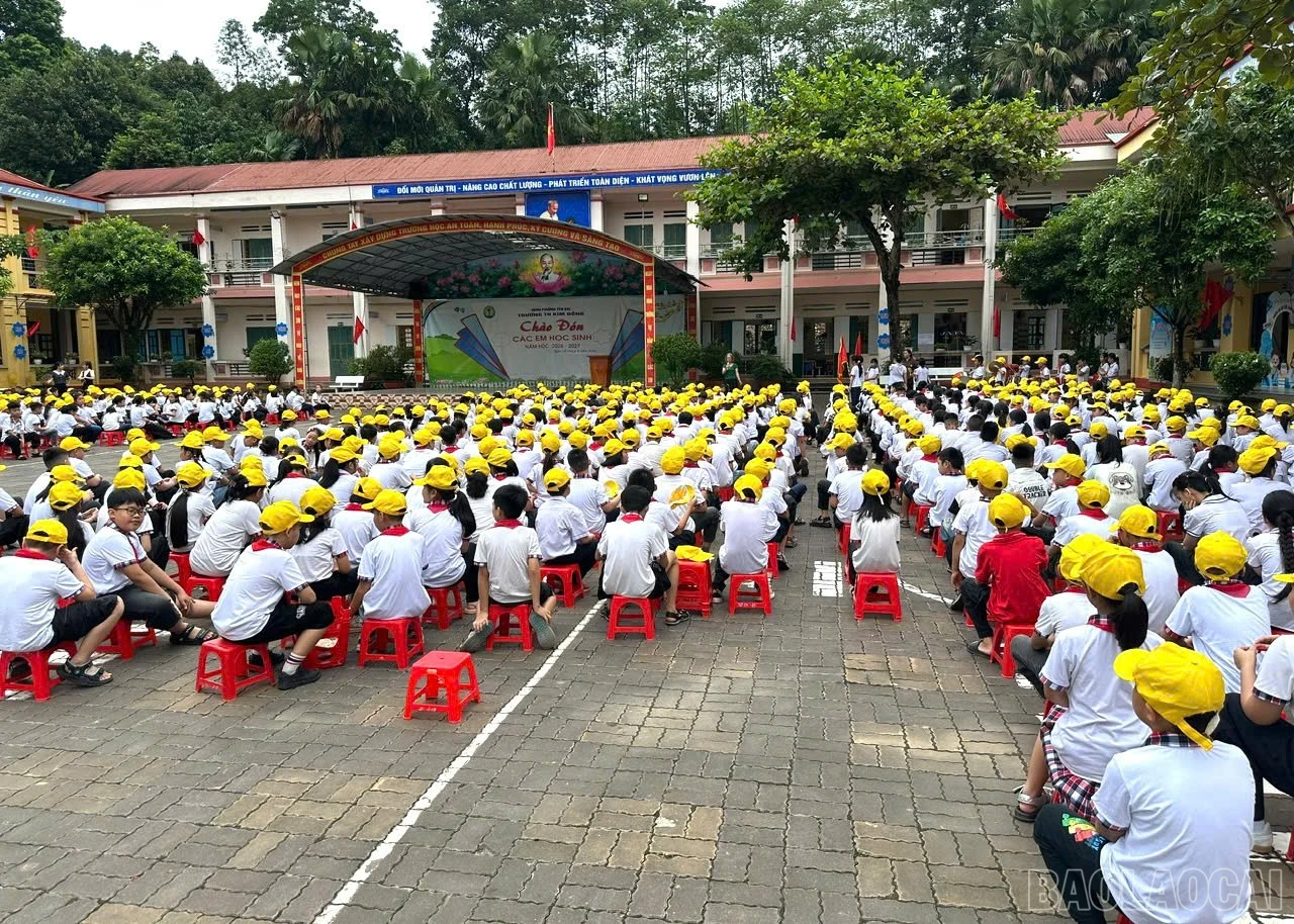 baolaocai-br_1787895782969-1990624821983247676-4362648308235759895-13937909c013dabfb73cb606754db682.jpg