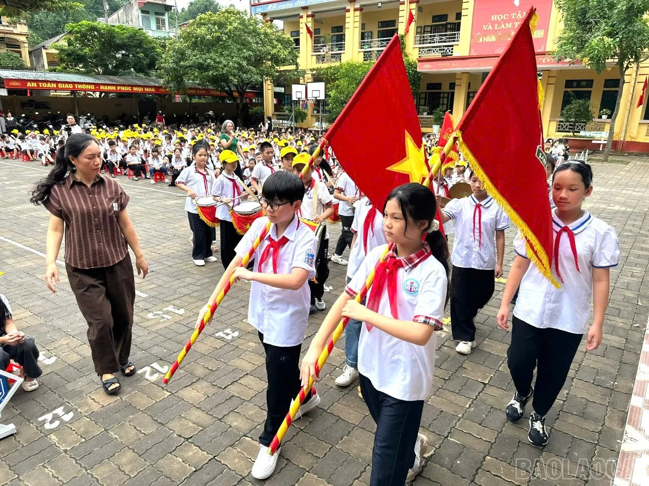 baolaocai-br_1787895783033-1990624821983247676-4362648308235759895-a02d3ef983a93c71150b38a4541640de.jpg