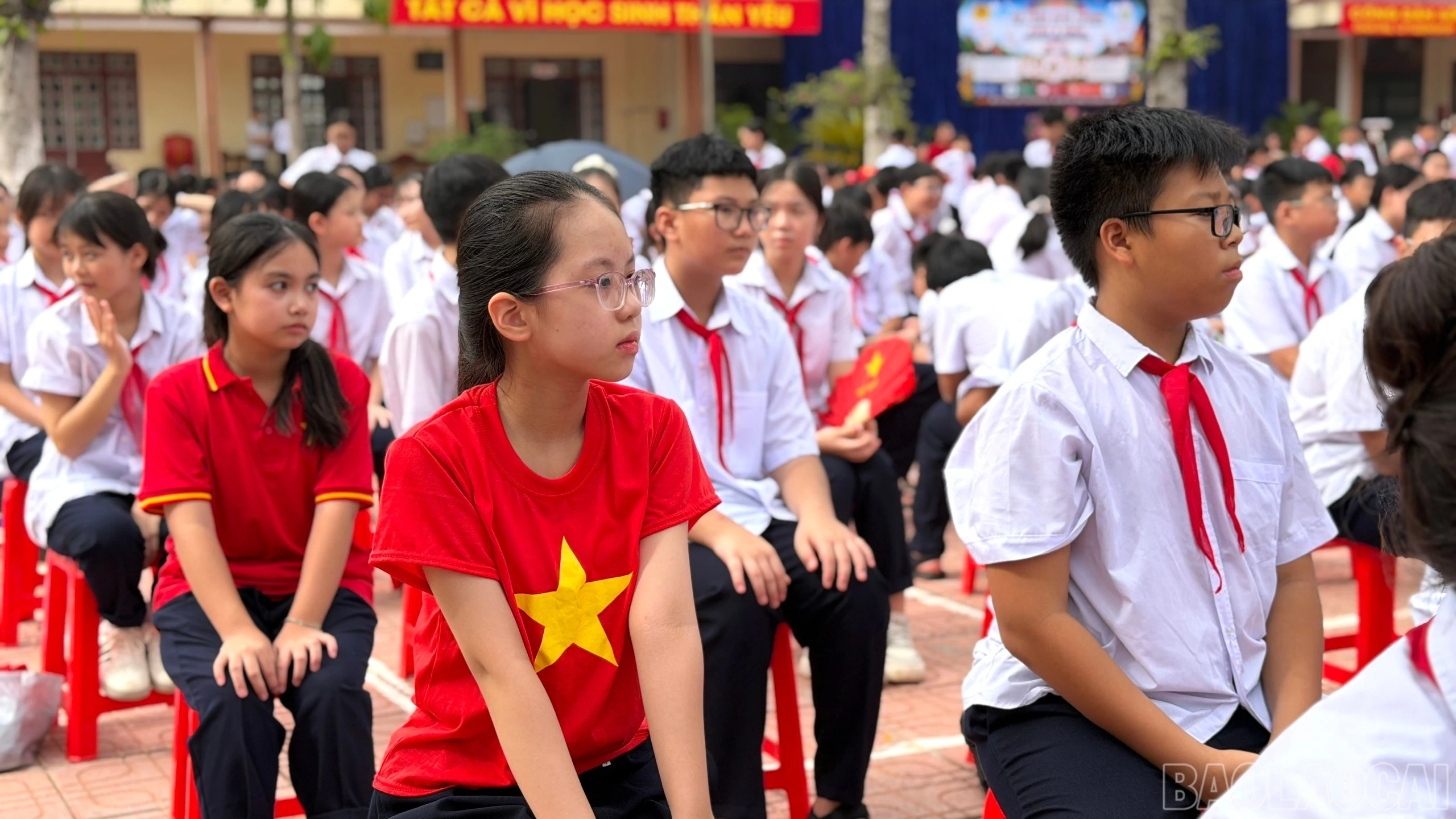 baolaocai-br_1787895510673-1990624821983247676-4362648308235759895-a3480c2e1158b6735b1046fadc1af133.jpg