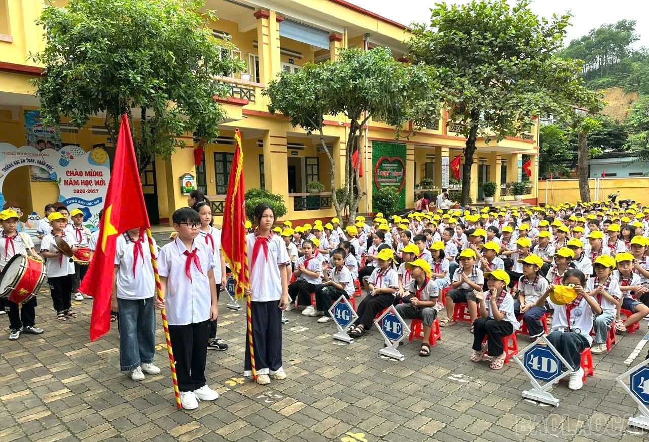 baolaocai-br_1787895783042-1990624821983247676-4362648308235759895-0f526f75181a67ccf86c4237d96a32e7.jpg