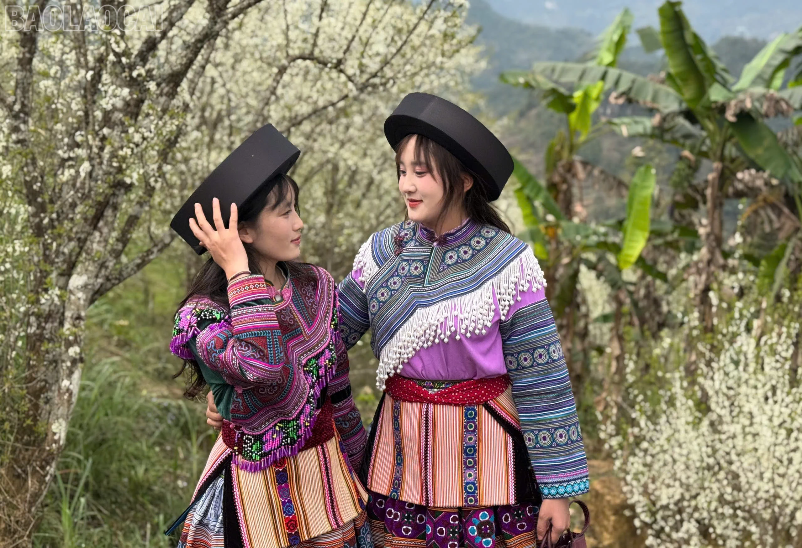 baolaocai-tl_z7563534597817-732159605f19f5b1eb1bef7ba2bb81b4.jpg