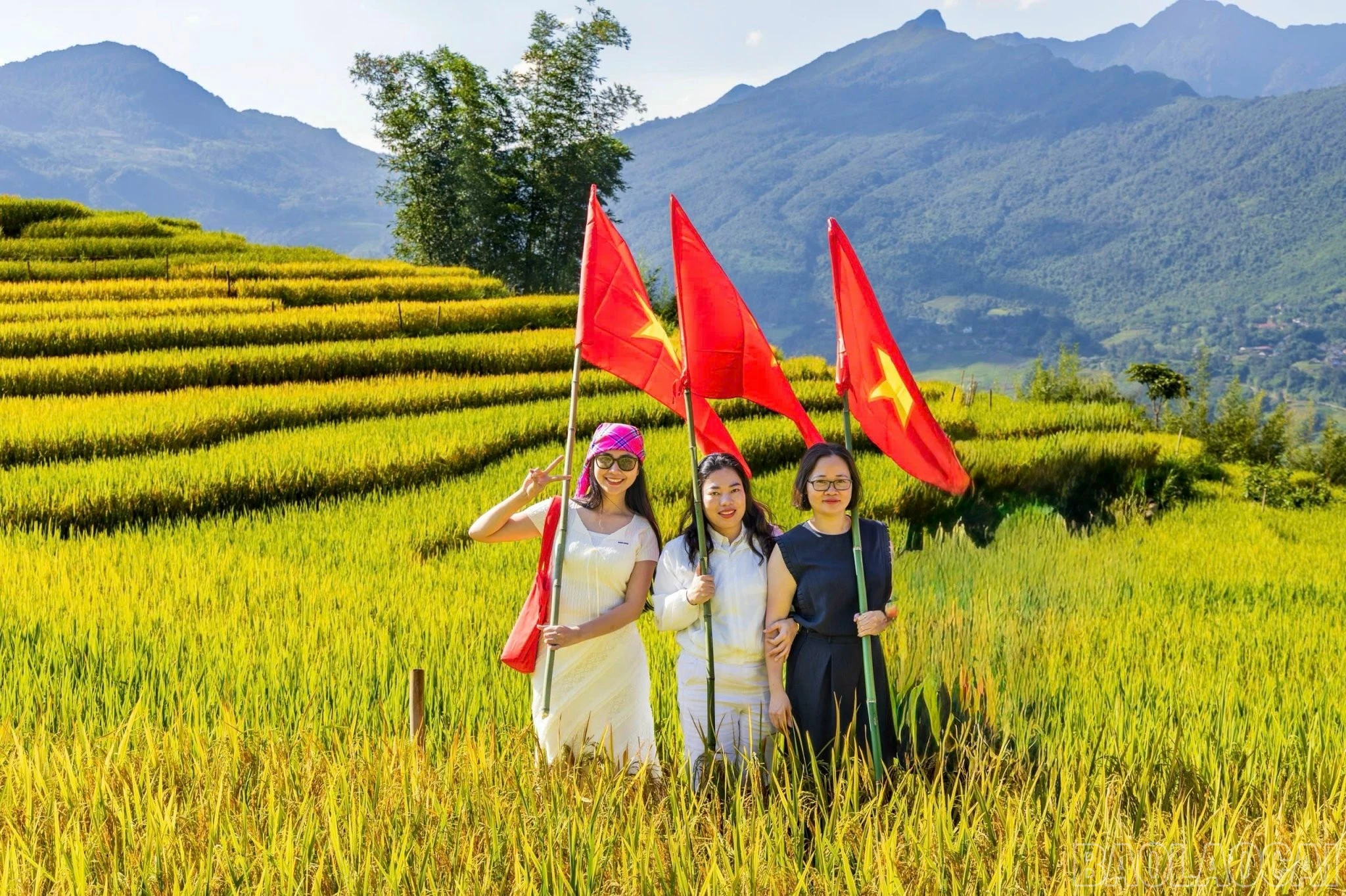 baolaocai-br_1788349053416-1990624821983247676-4362648308235759895-2df9223338a99f72d174e230f6737128.jpg