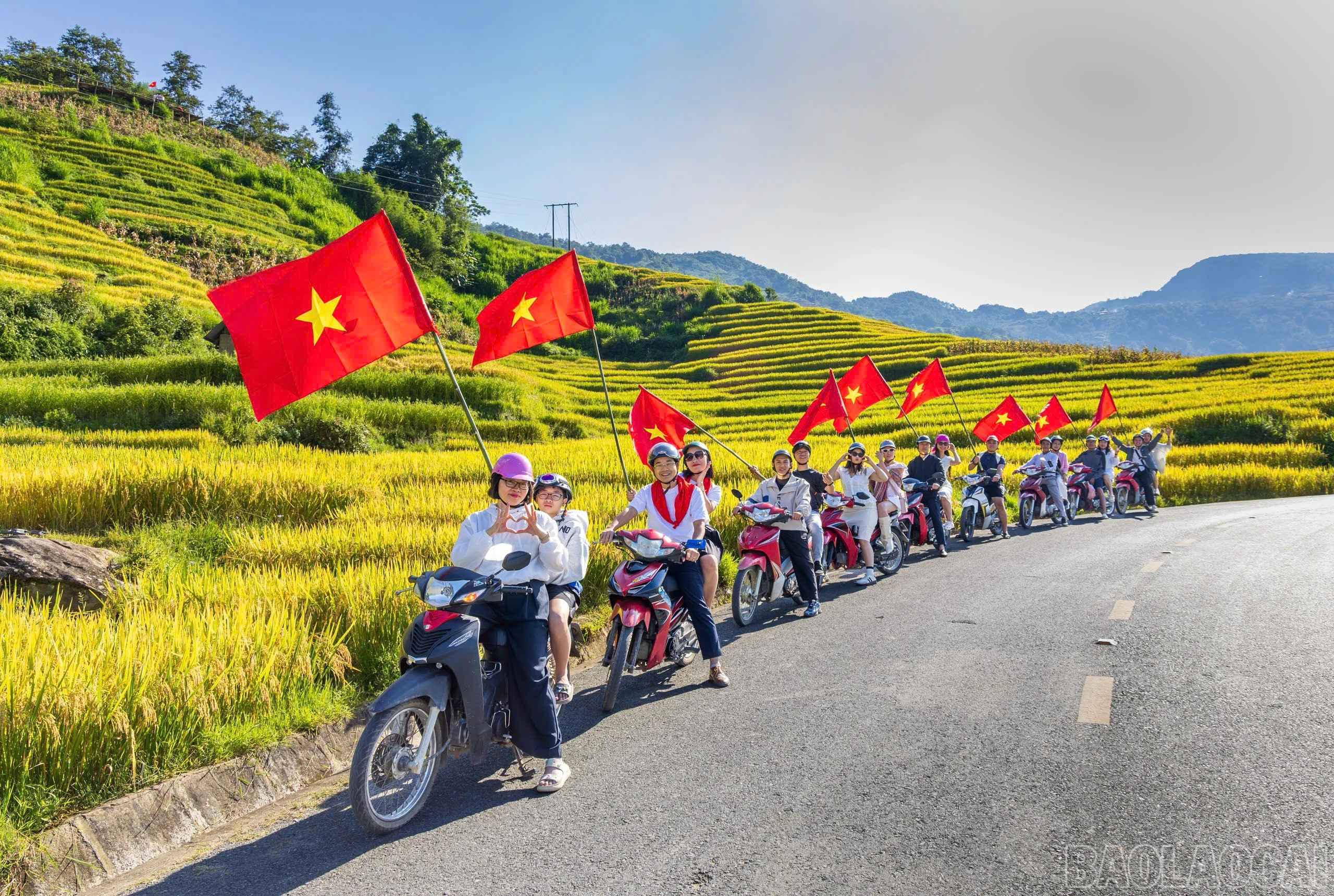 baolaocai-br_1788343090830-5248594464088184906-5248594464088184906-954749de7857b5d20c2508b248e384b2.jpg