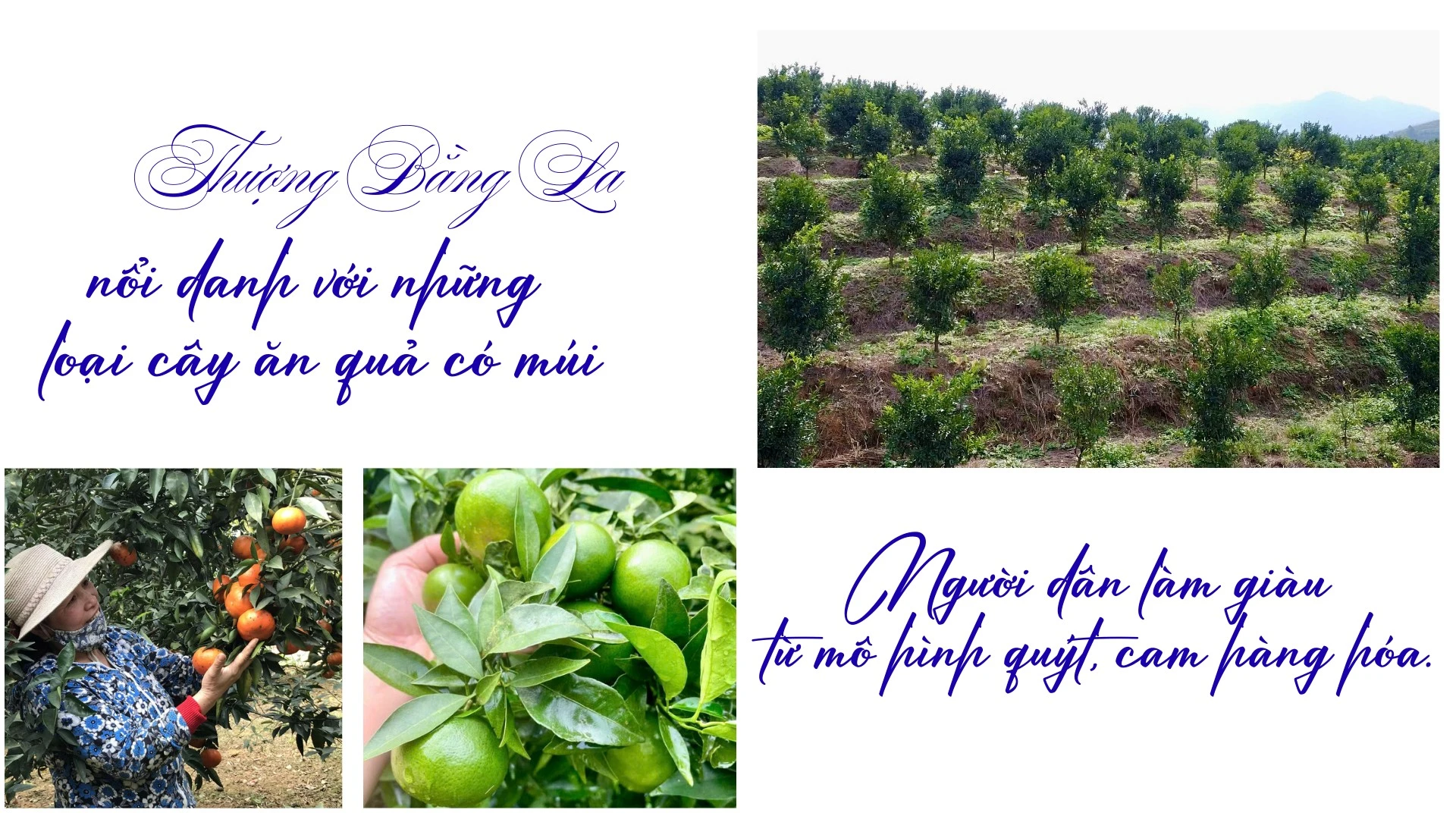 green-and-cream-simple-tourism-presentation.png