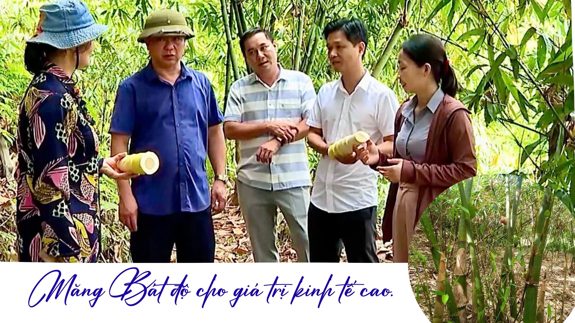 green-and-cream-simple-tourism-presentation-5651.png