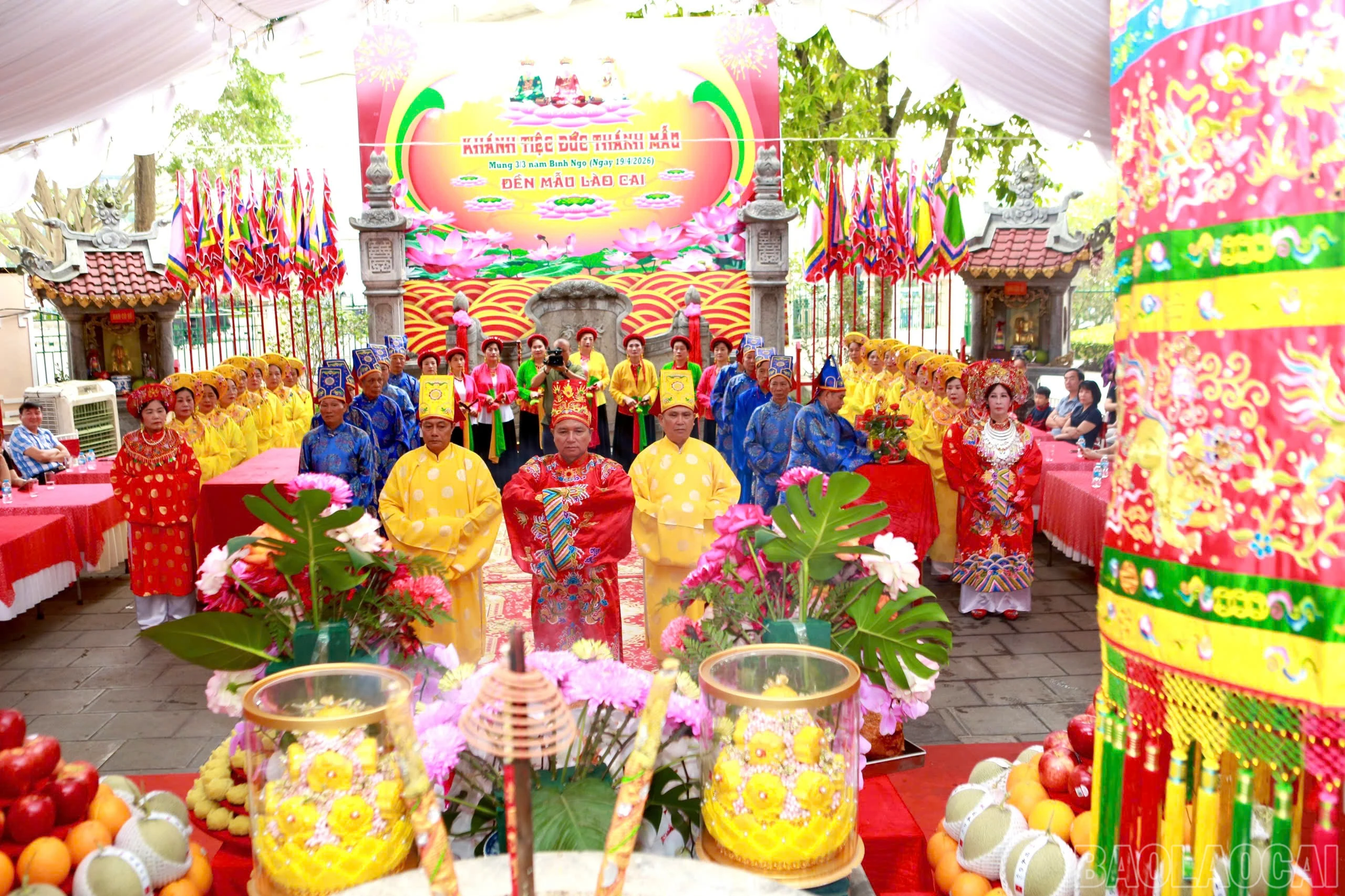 baolaocai-br_z7740741701006-305587af0814dbc27f55408209c8ef32.jpg