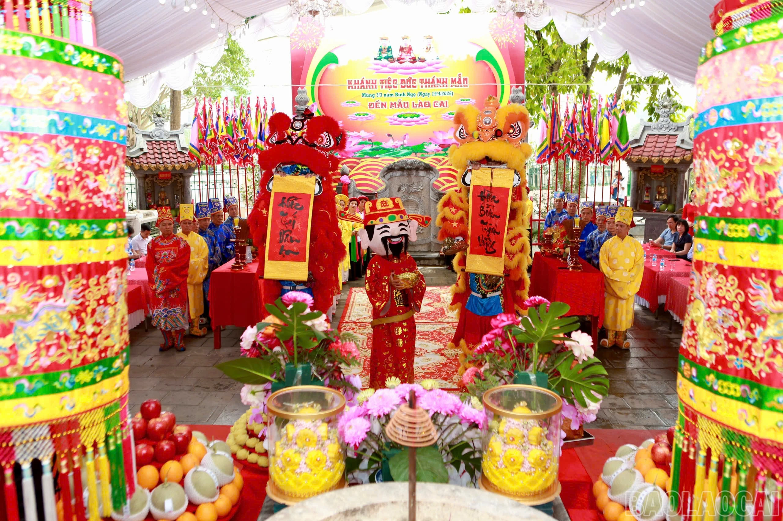 baolaocai-br_z7740741723119-777fc761f3834e6febc28e0308983fbb.jpg