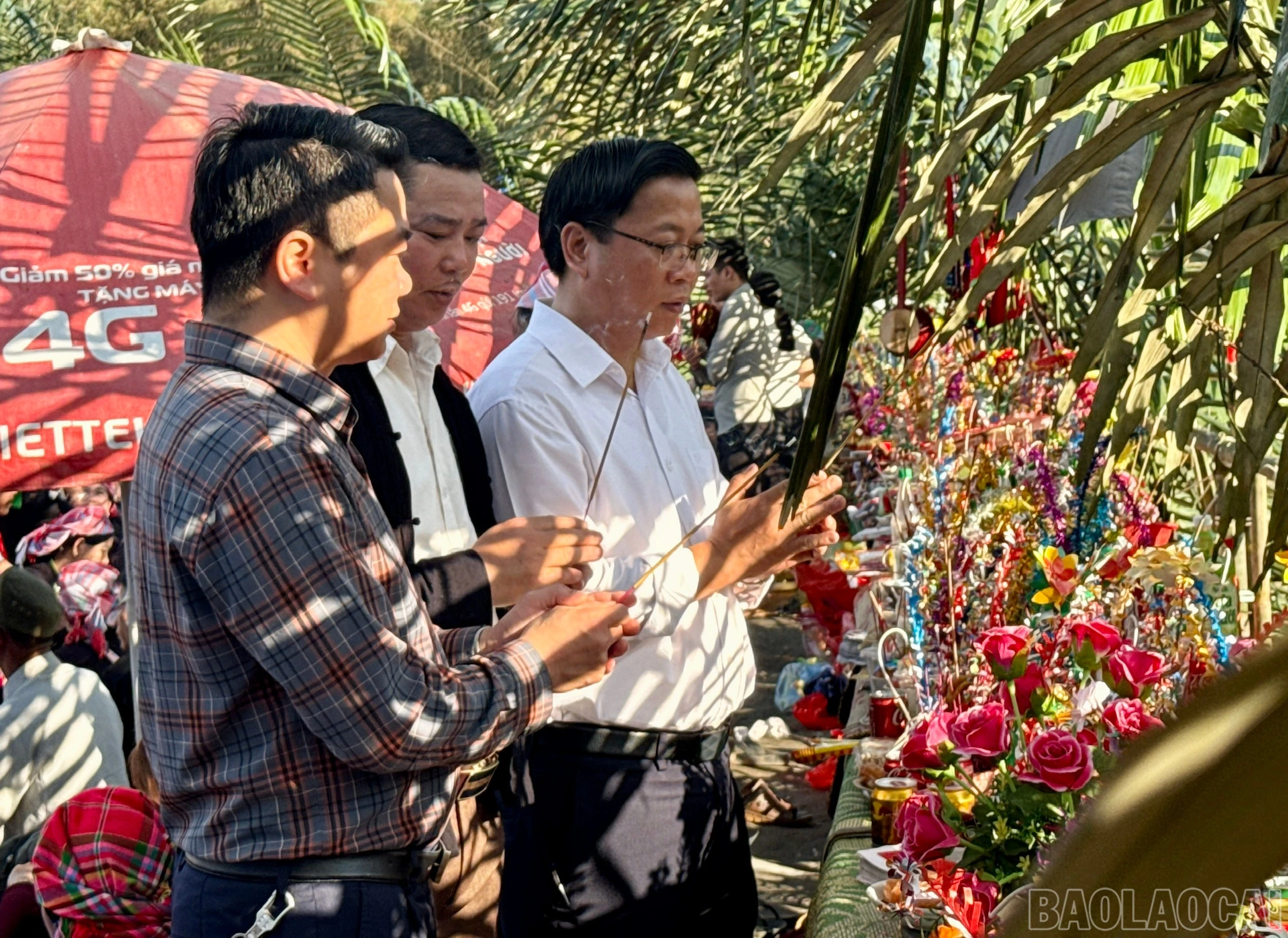 baolaocai-br_z7570741084326-e1842d64252e7cbd5d6ea0147cd930ab.jpg