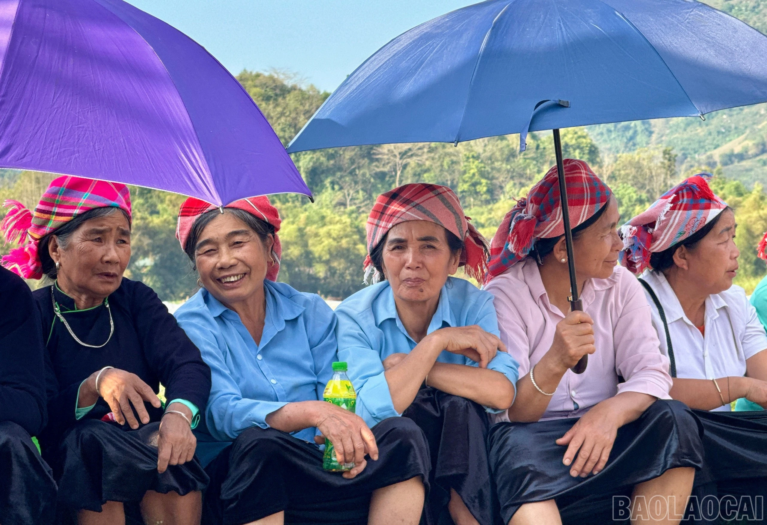 baolaocai-br_z7570739461654-1f68074a473c753c7d858e0cb5ddde8d.jpg