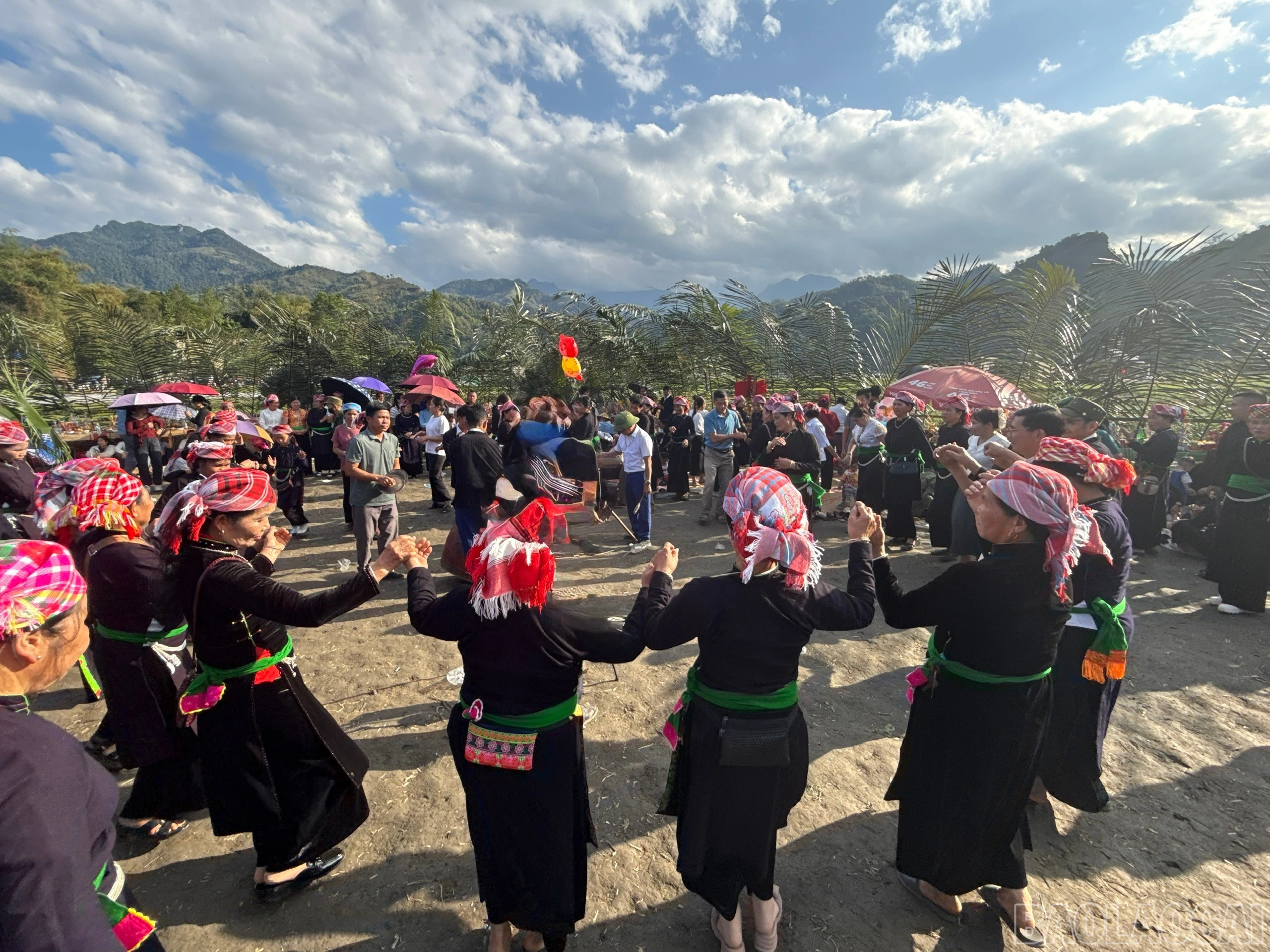 baolaocai-br_z7570736076729-53287fadf4f08d8db1b759bd608a8e63.jpg