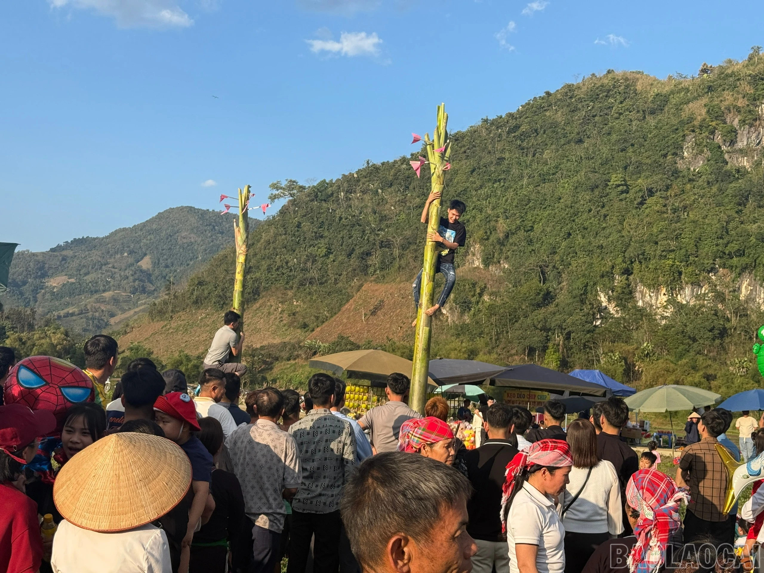 baolaocai-br_z7570747895043-640e7b01bc8a60d87e08175860a2cc1f.jpg