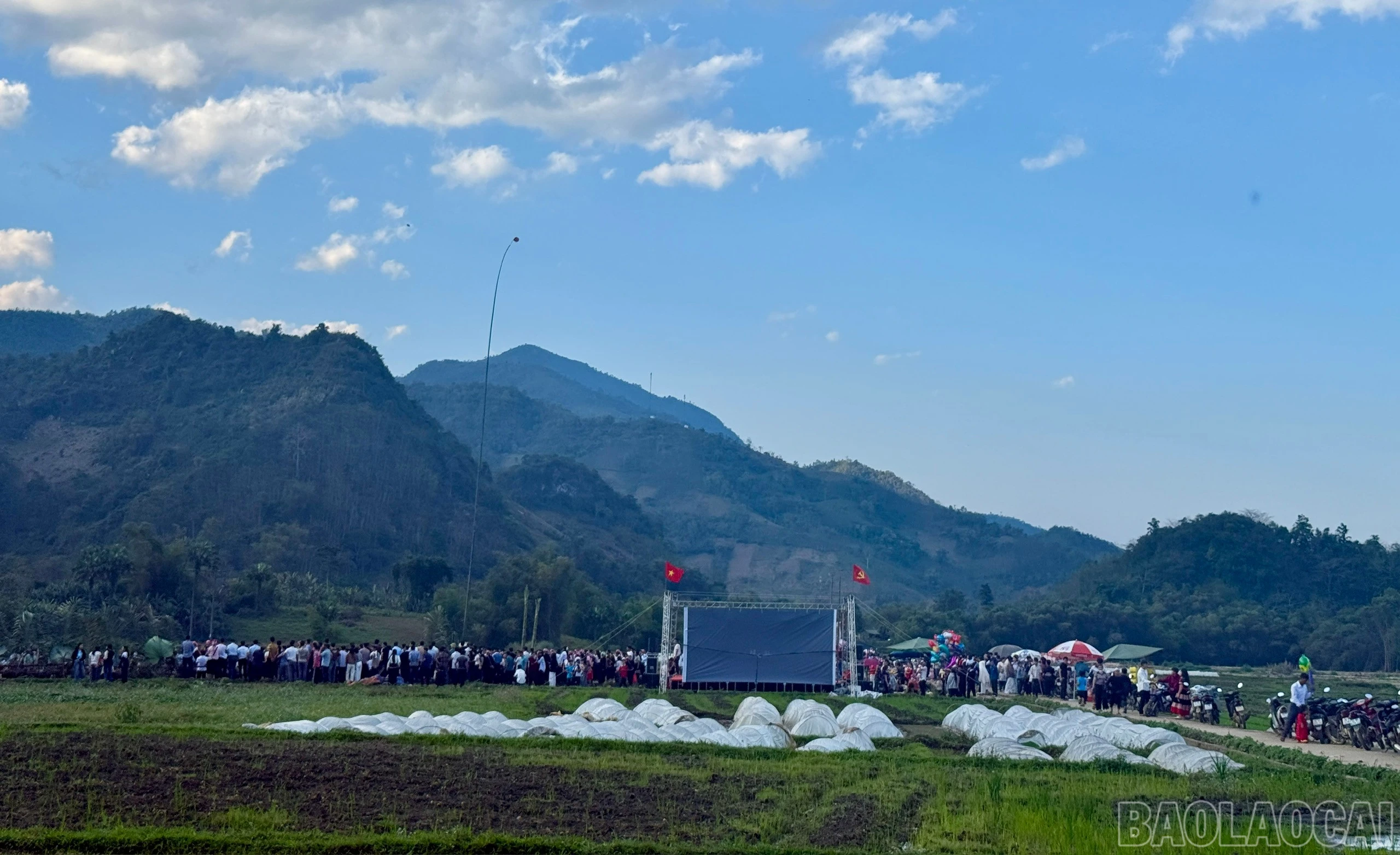 baolaocai-br_z7570751949436-ab4595517cf893a27ecd4b6255efe4a5.jpg