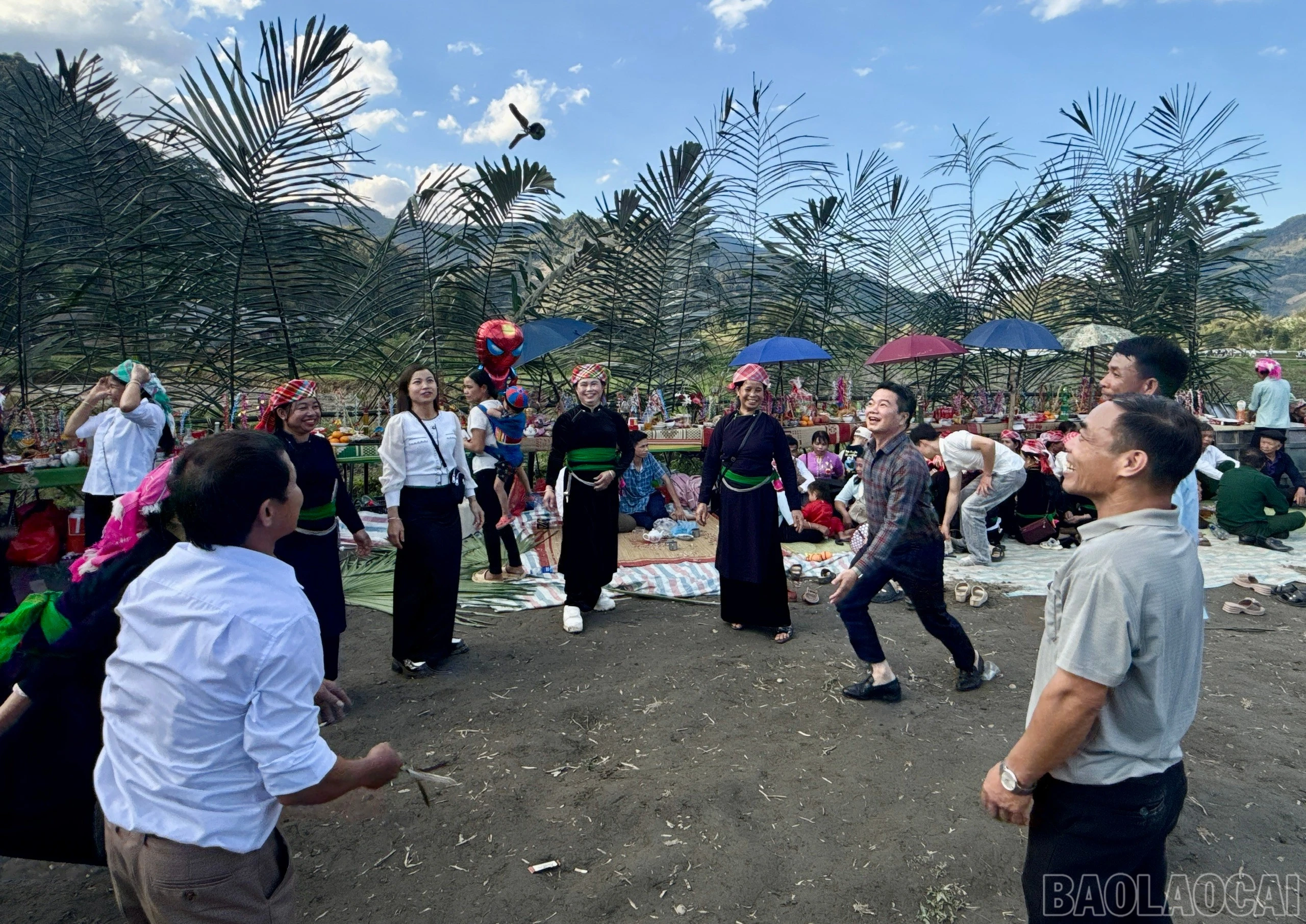 baolaocai-br_z7570742940114-acfbc4a7fe94993620c5f1e2ed1e50d1.jpg