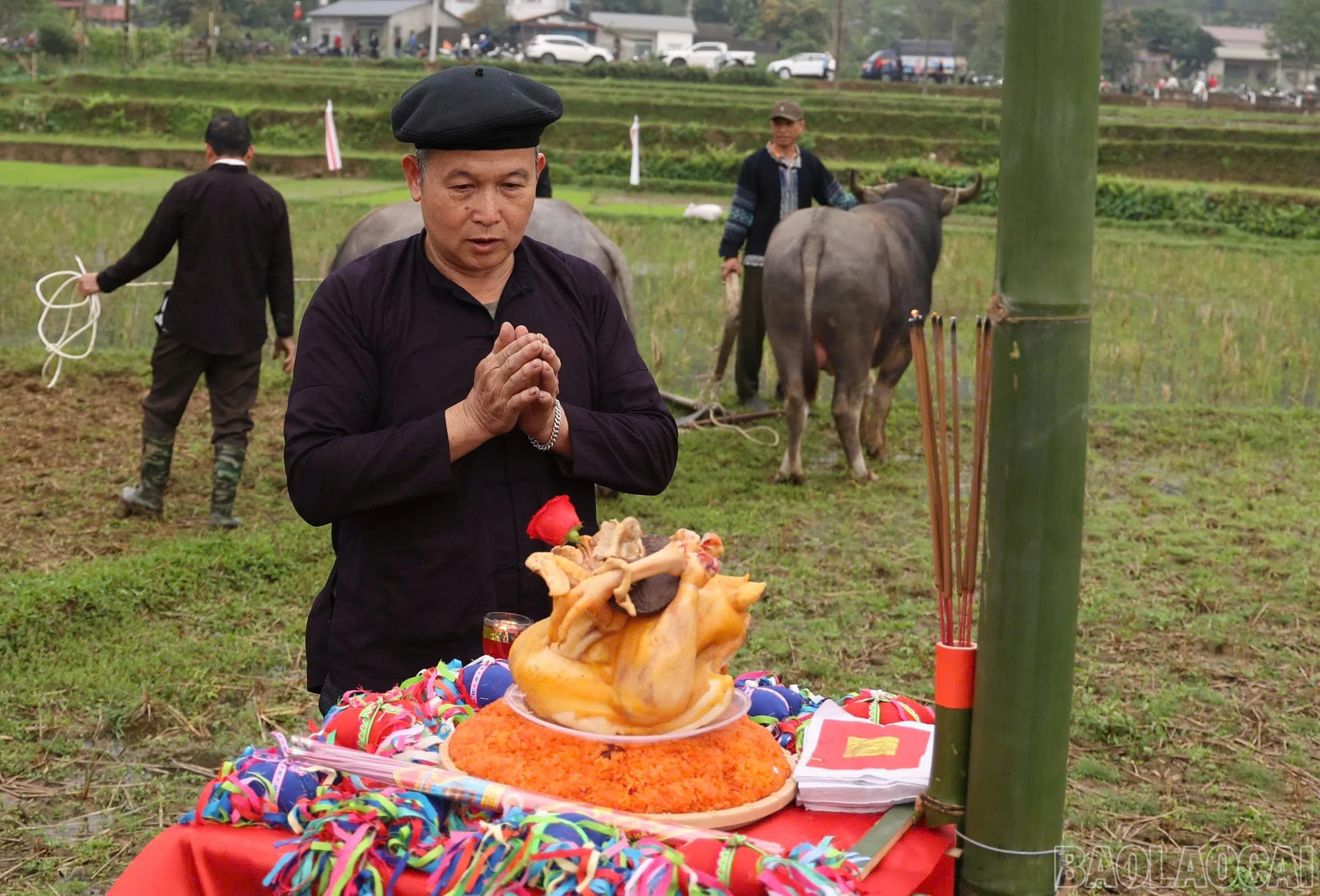 baolaocai-br_z7558116897766-716cbb8a2e34ae4c12b152ae404efd01.jpg