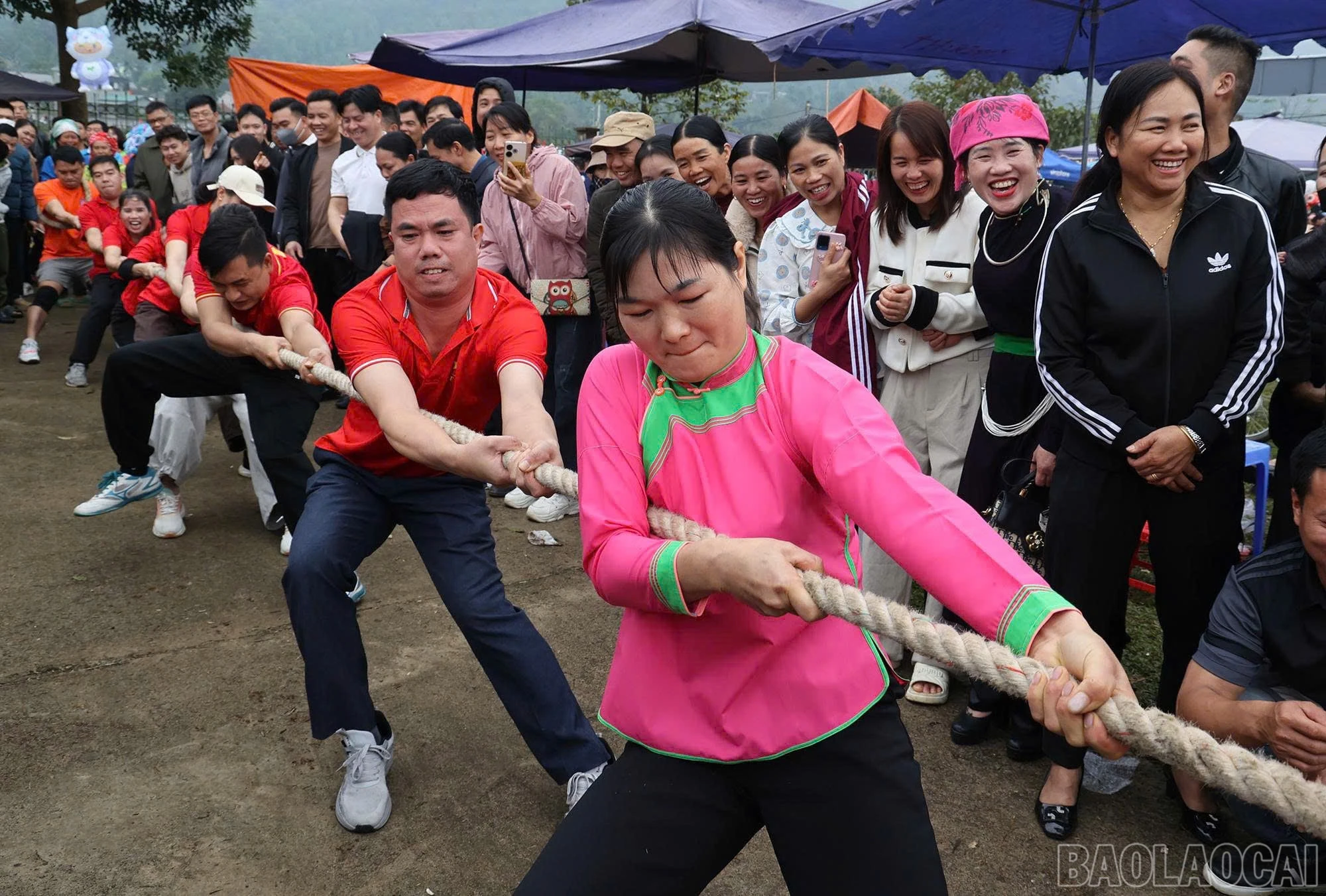 baolaocai-br_z7558116883761-0cf24b5e55346f80962fd75aa46c1649.jpg