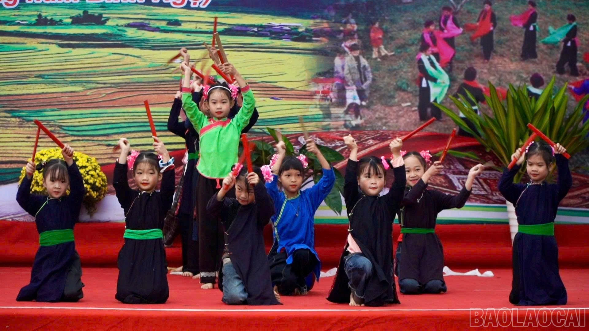 baolaocai-br_z7558116921855-fd89bc5e70cd84804935f96763133154.jpg
