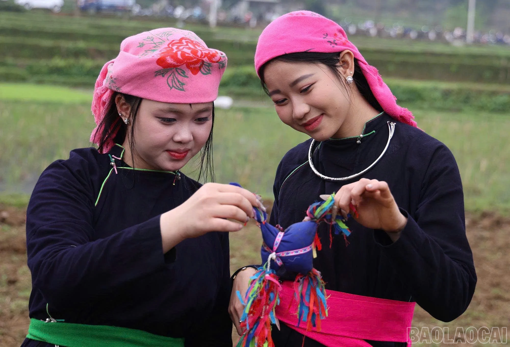 baolaocai-br_z7558116894520-8b7cfba068809957f3208fb265fada87.jpg