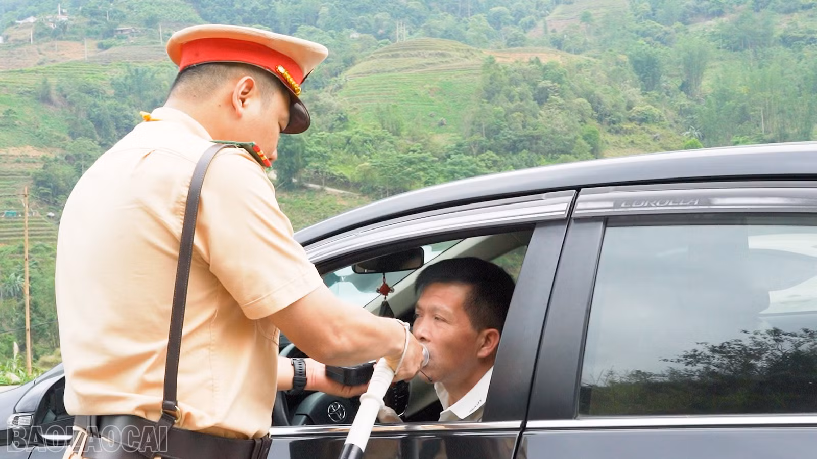 baolaocai-bl_8.jpg