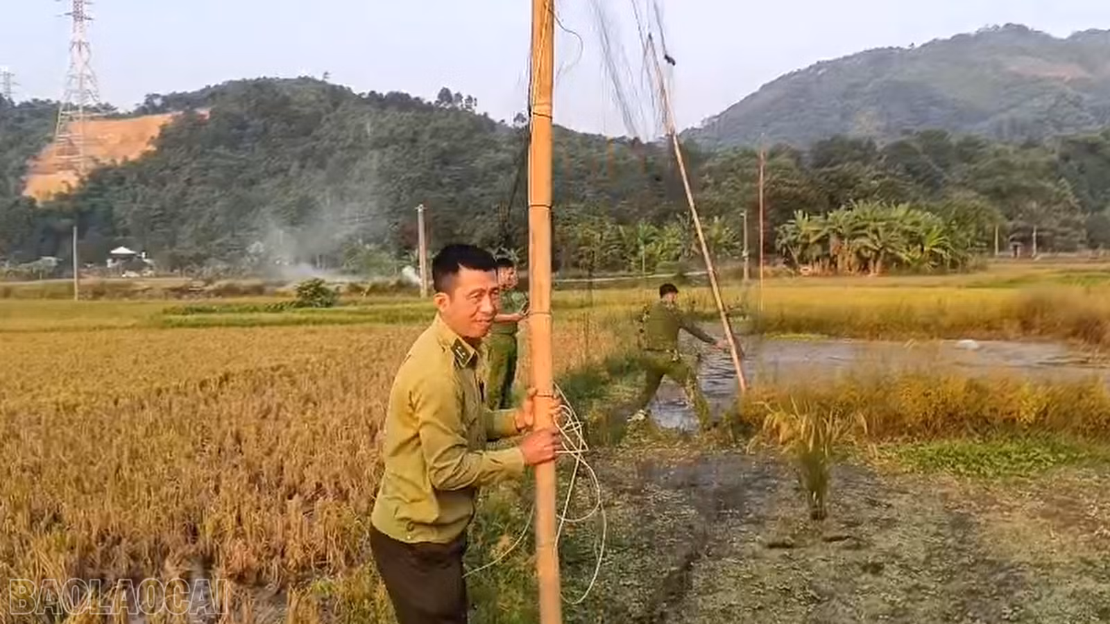 baolaocai-bl_anh-luoi-bay-chim-thon-lang-bac-vua-duoc-thao-do-4123.png