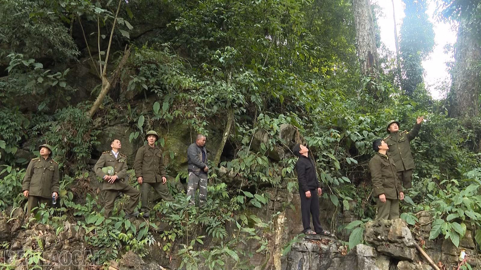 baolaocai-bl_anh-16-kiem-lam-va-to-bao-ve-rung-di-tuan.png
