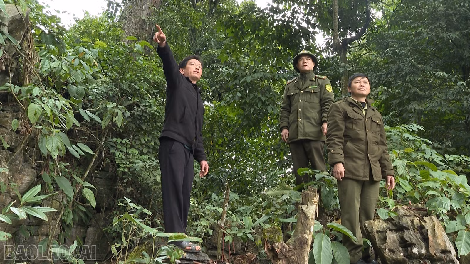 baolaocai-bl_anh-8-to-bao-v-rung-coc-ly.png