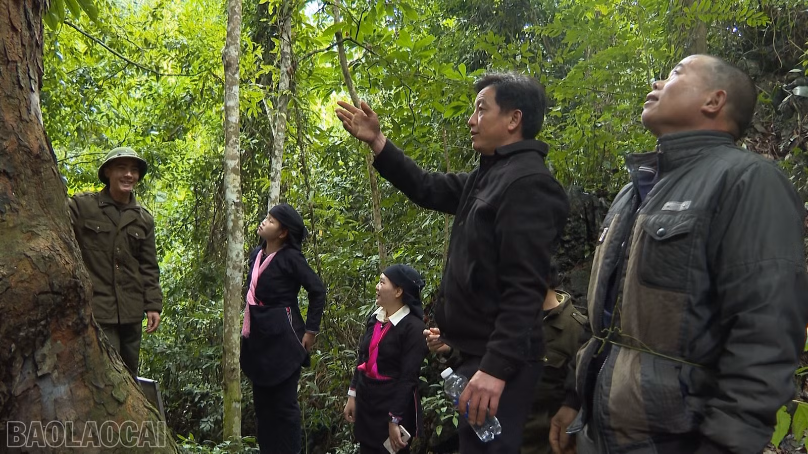 baolaocai-bl_anh-7-to-bao-v-rung-coc-ly.png
