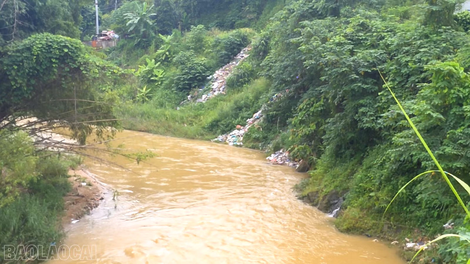 baolaocai-bl_anh-14-con-day-la-kgu-vuc-to-29-bac-cuong-phuong-cam-duong-tinh-trang-do-rac-cung-xuat-hien.png