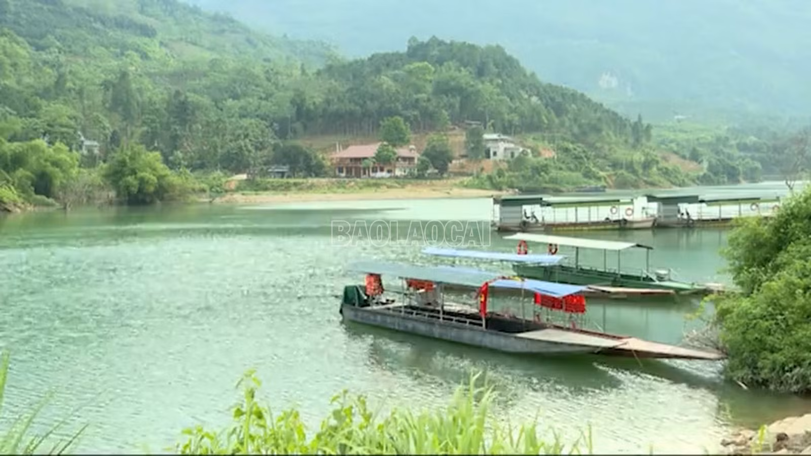 baolaocai-c_anh-6.png