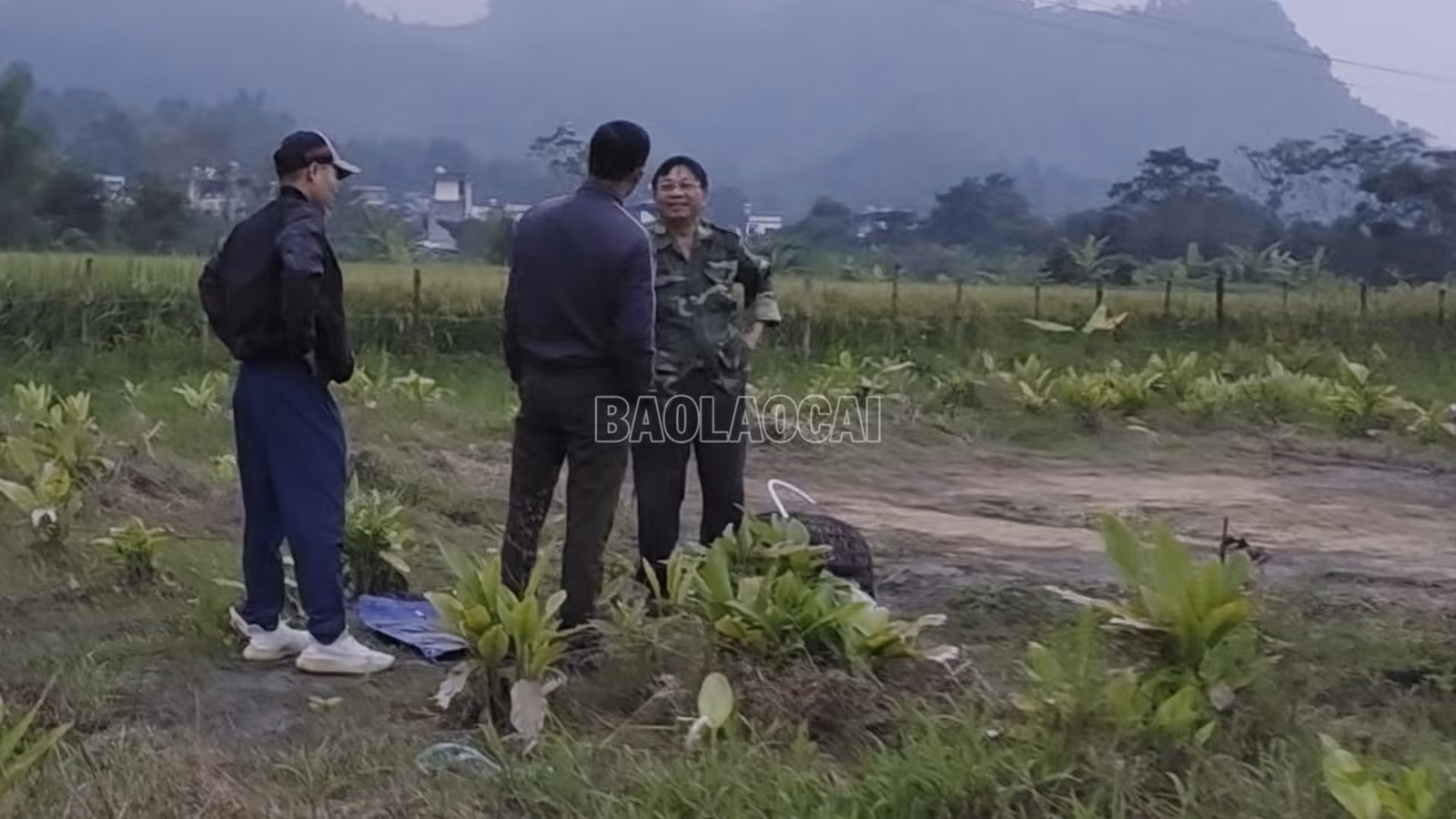baolaocai-c_anh-5-khu-vuc-phat-hien-danh-bay.png