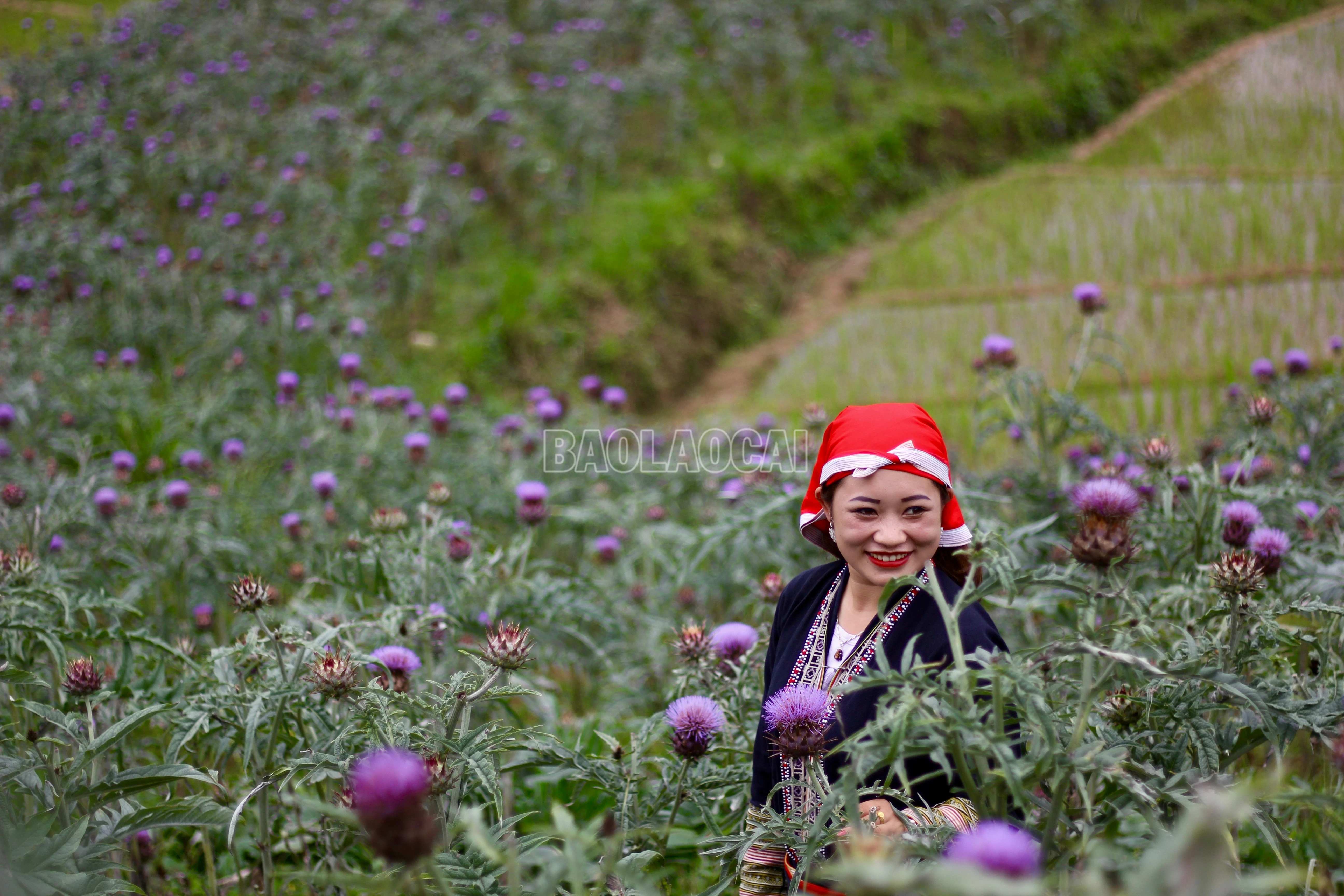 baolaocai-c_img-3486.jpg