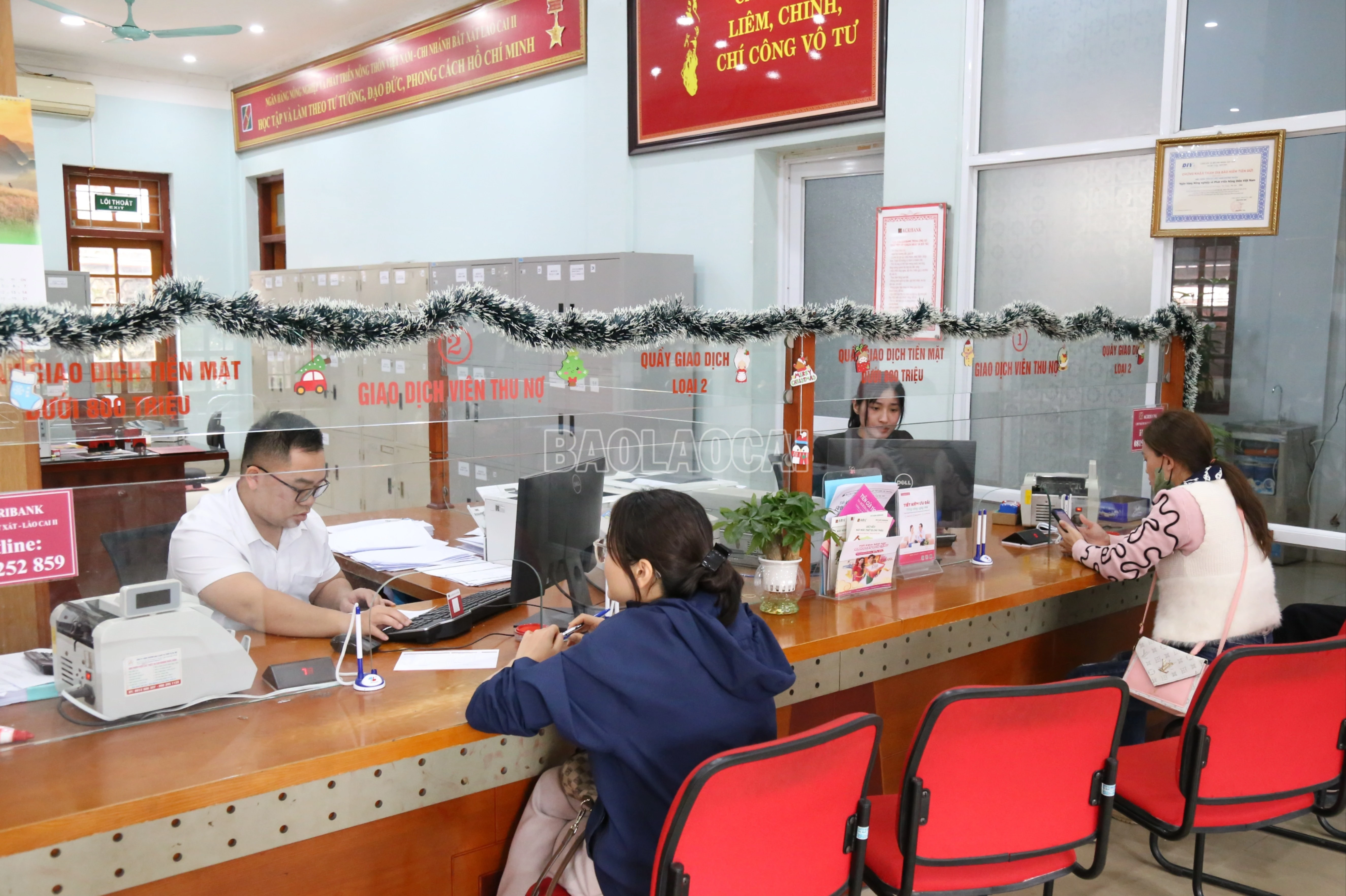 baolaocai-c_img-0776-5779.jpg
