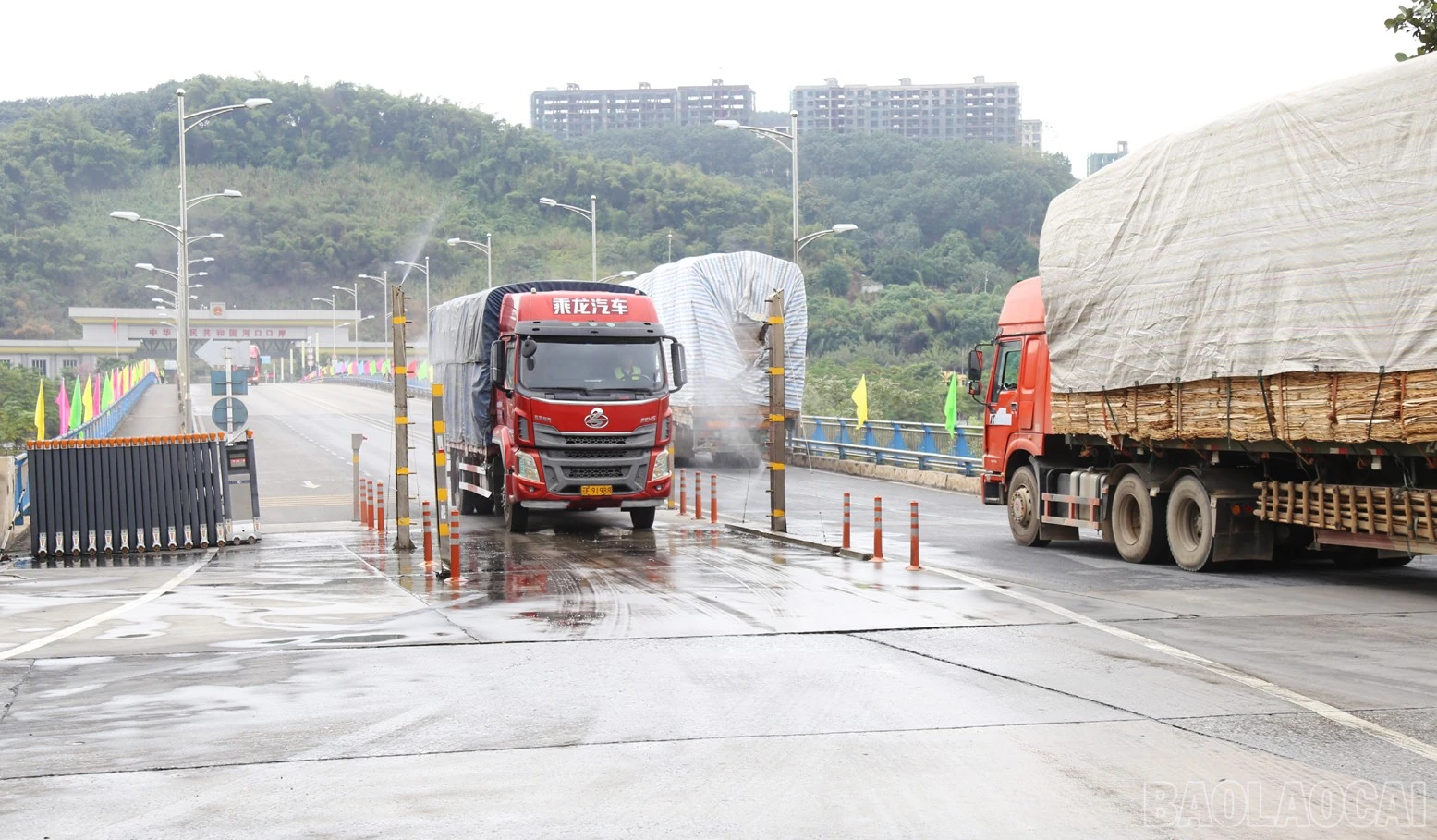 baolaocai-br_b11.jpg