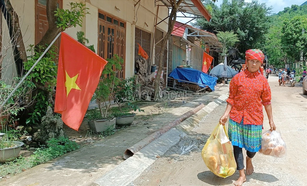 C6.jpg