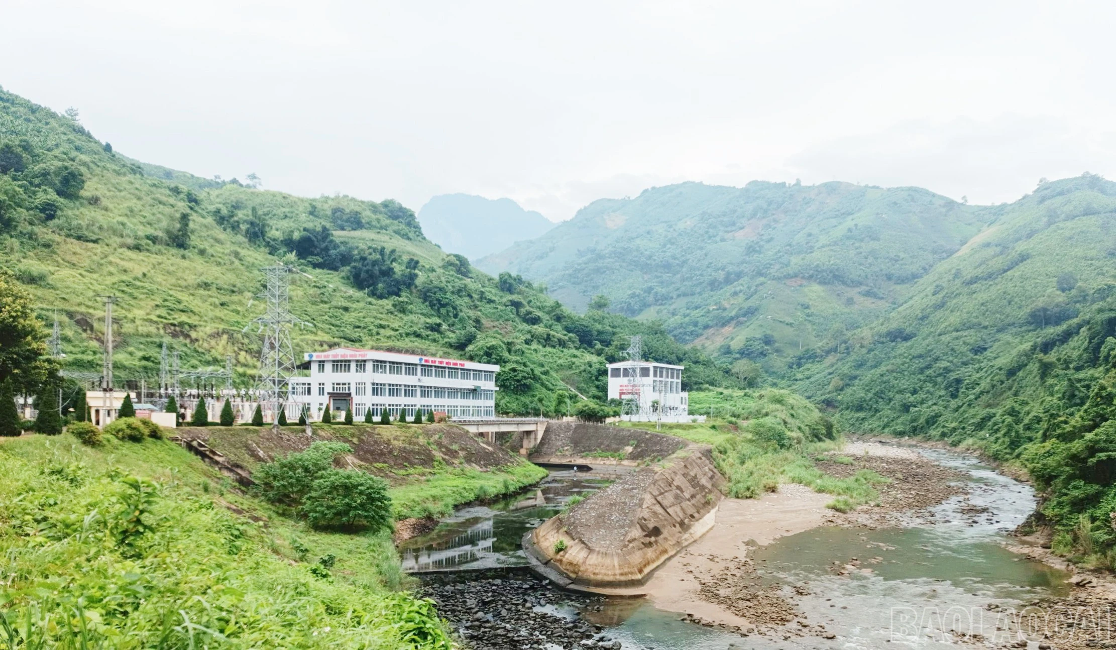 baolaocai-br_t18.jpg