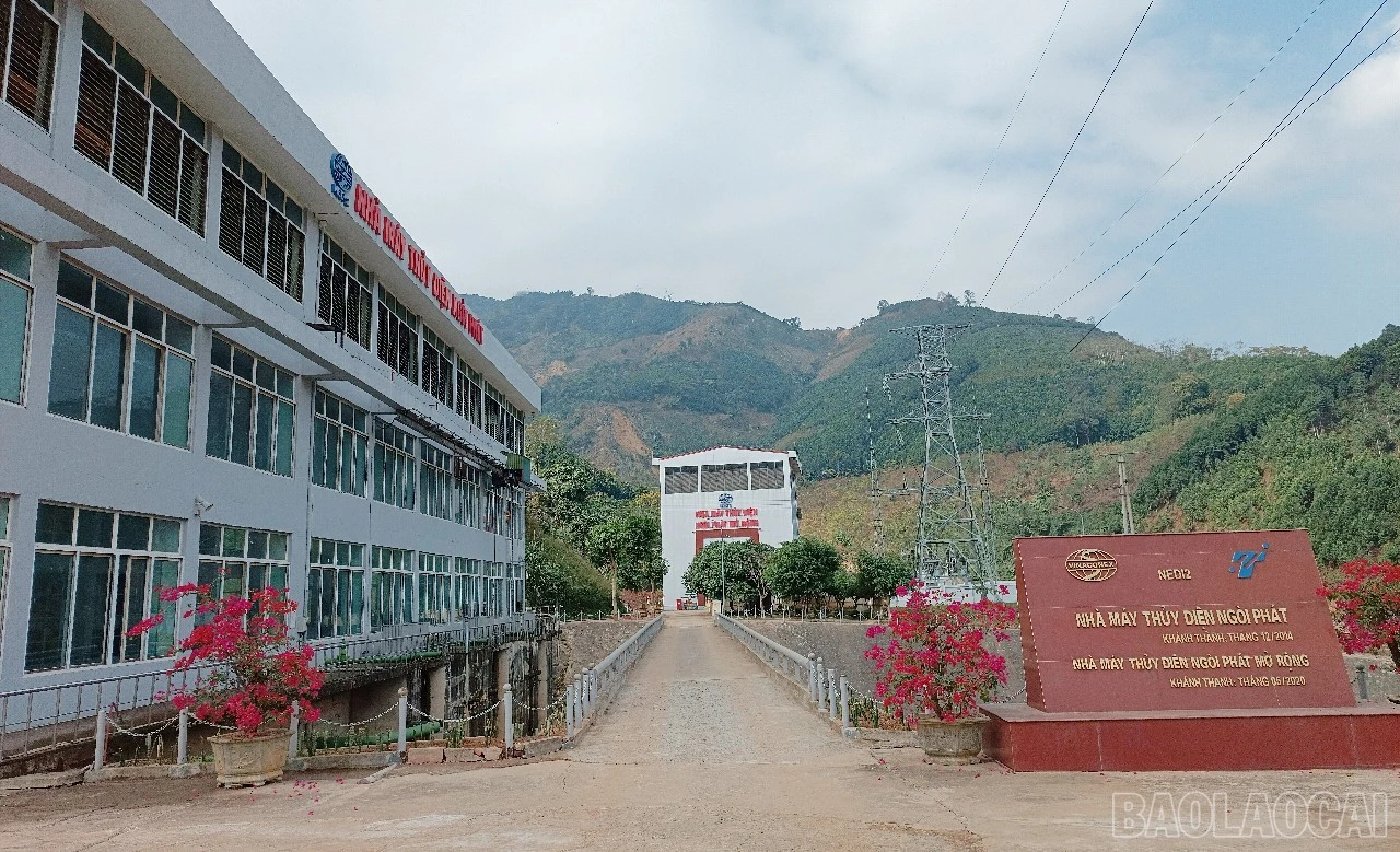 baolaocai-br_t4.jpg
