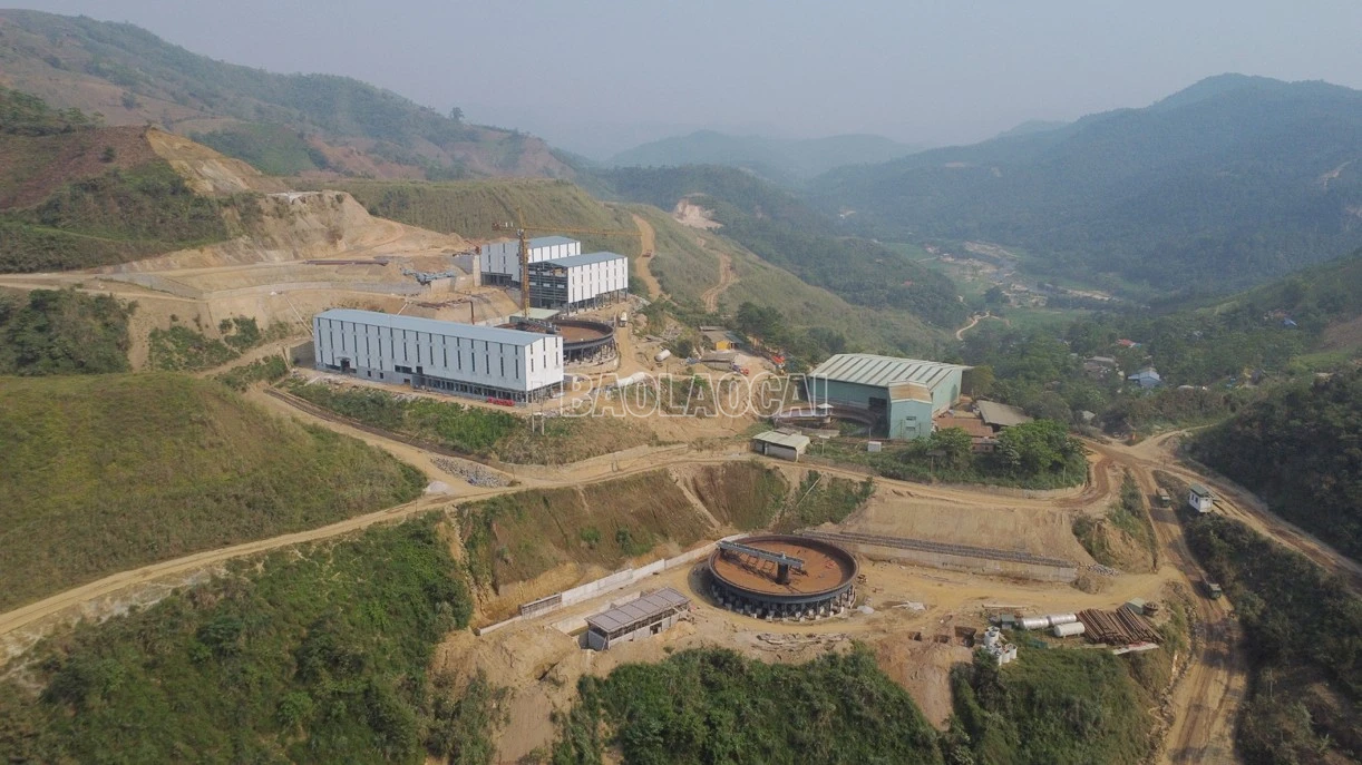 baolaocai-c_m19.jpg
