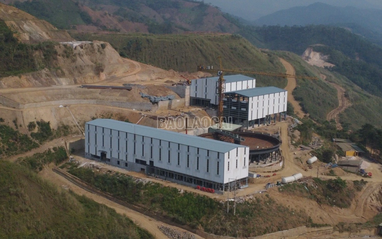 baolaocai-c_m1111.jpg