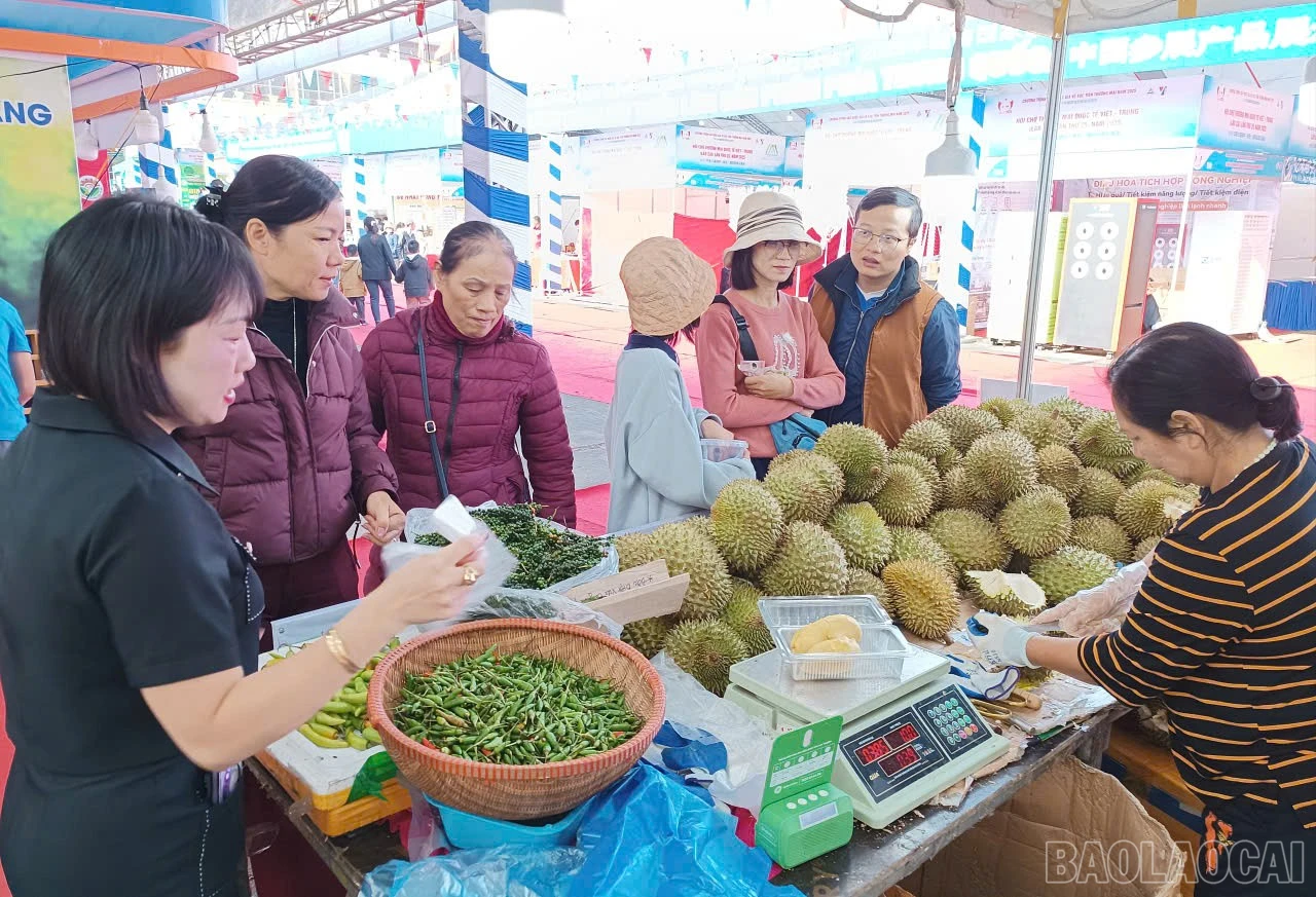 baolaocai-br_a13.jpg