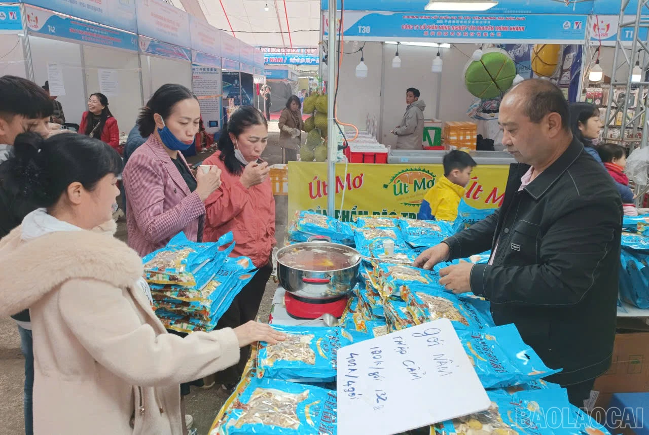 baolaocai-br_a11.jpg