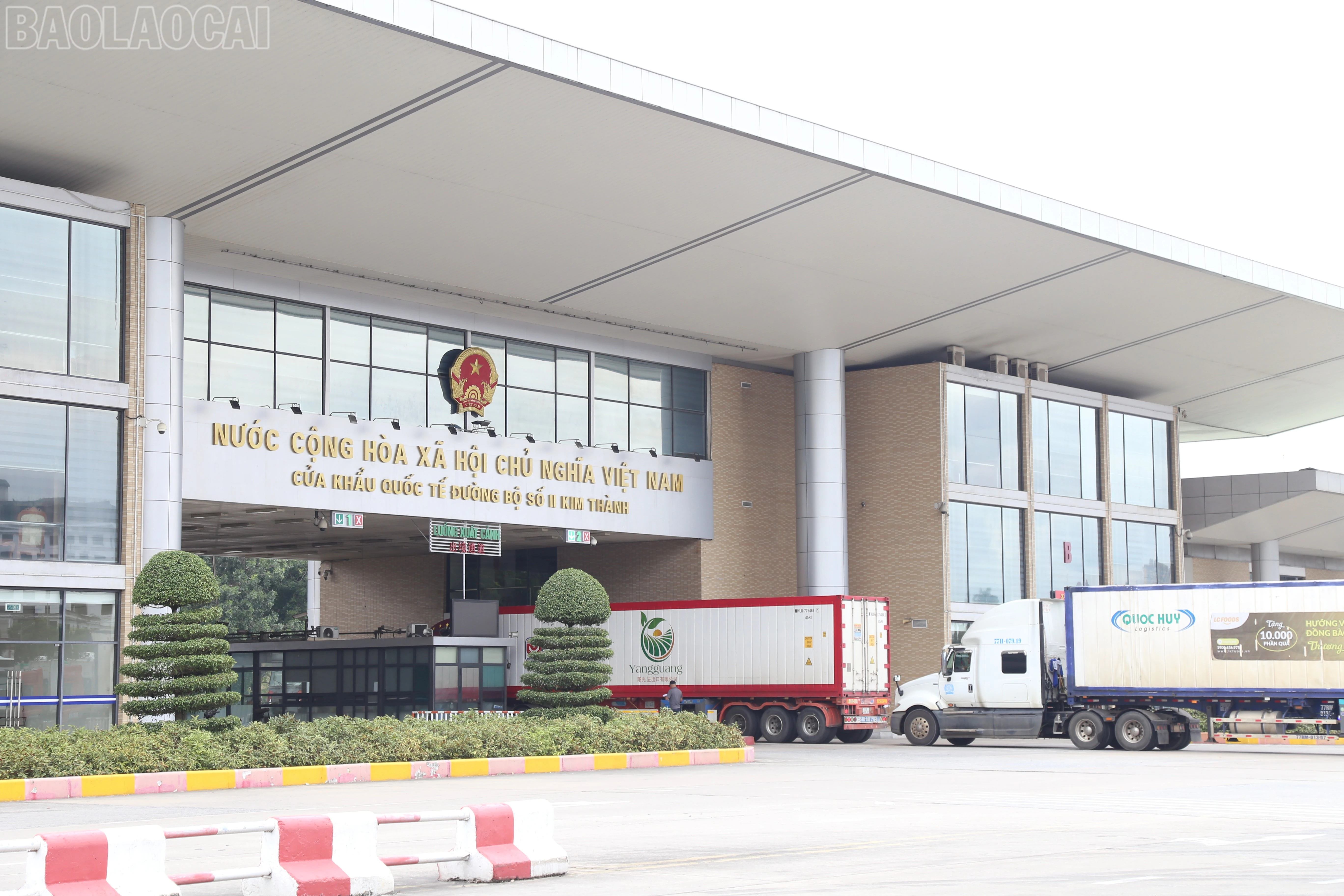 baolaocai-tl_img-2803.jpg