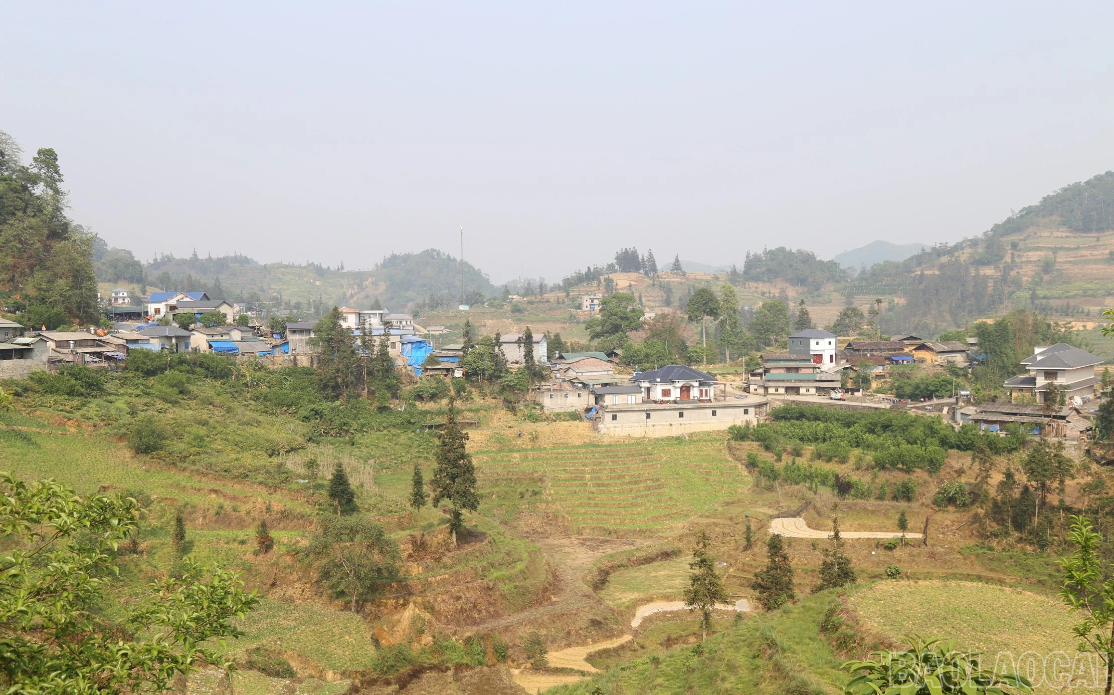 baolaocai-br_p10.jpg