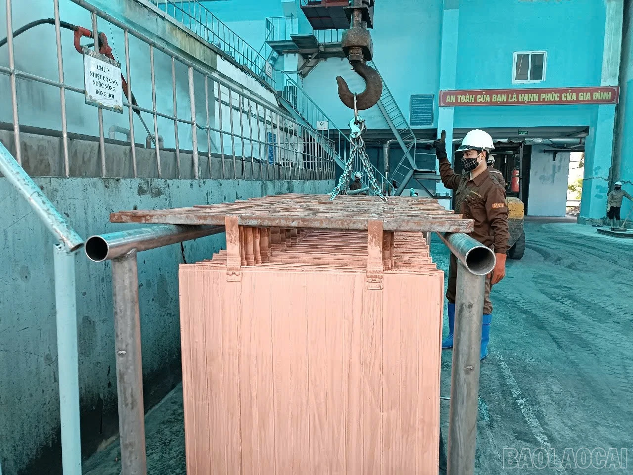 baolaocai-br_v9.jpg