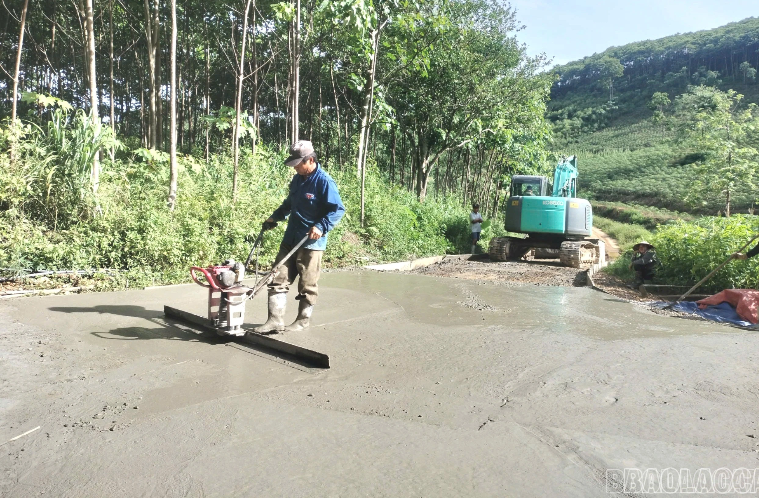 baolaocai-br_br-z7363207320647-d99c74eeaf47845e4a0f219cd4de6e3d.jpg