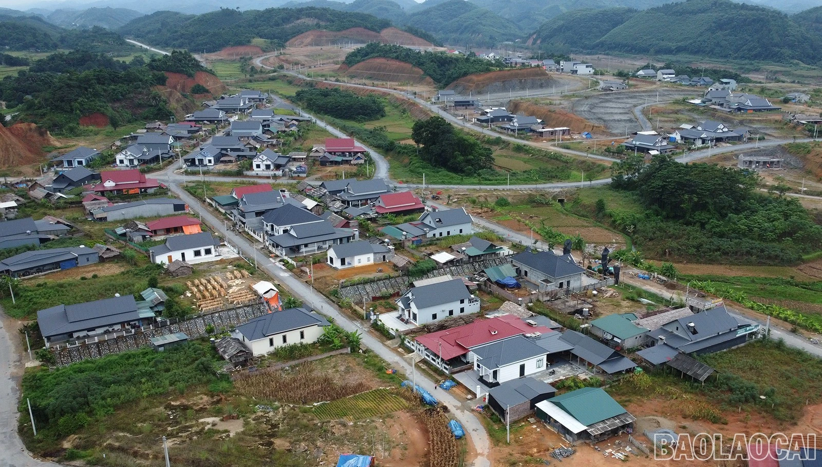baolaocai-br_image.jpg