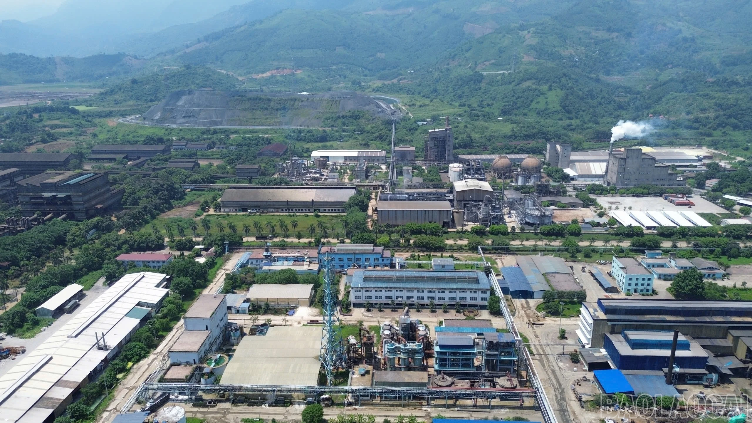 baolaocai-br_a1.jpg
