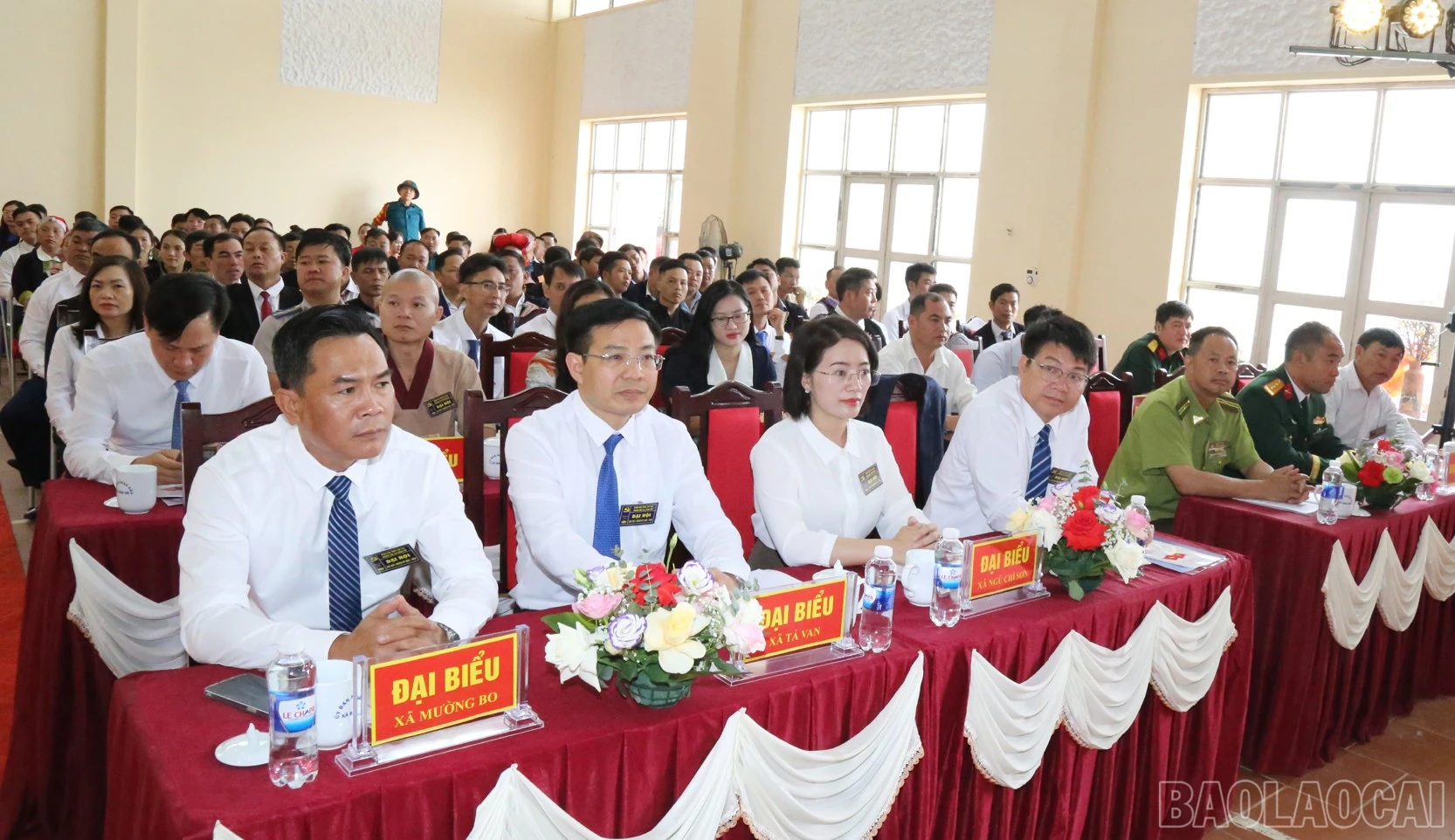 baolaocai-br_h12.jpg