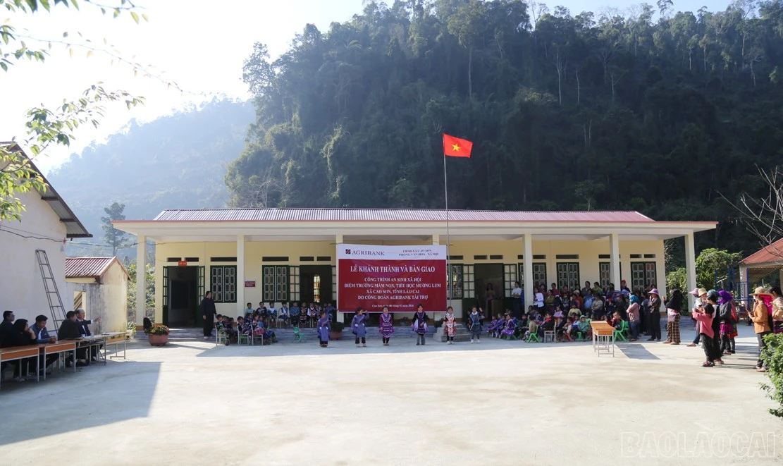 baolaocai-br_a111.jpg