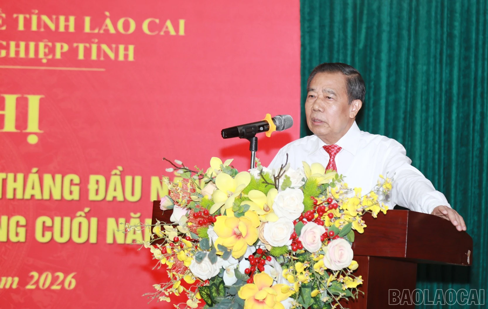 baolaocai-br_d11.jpg