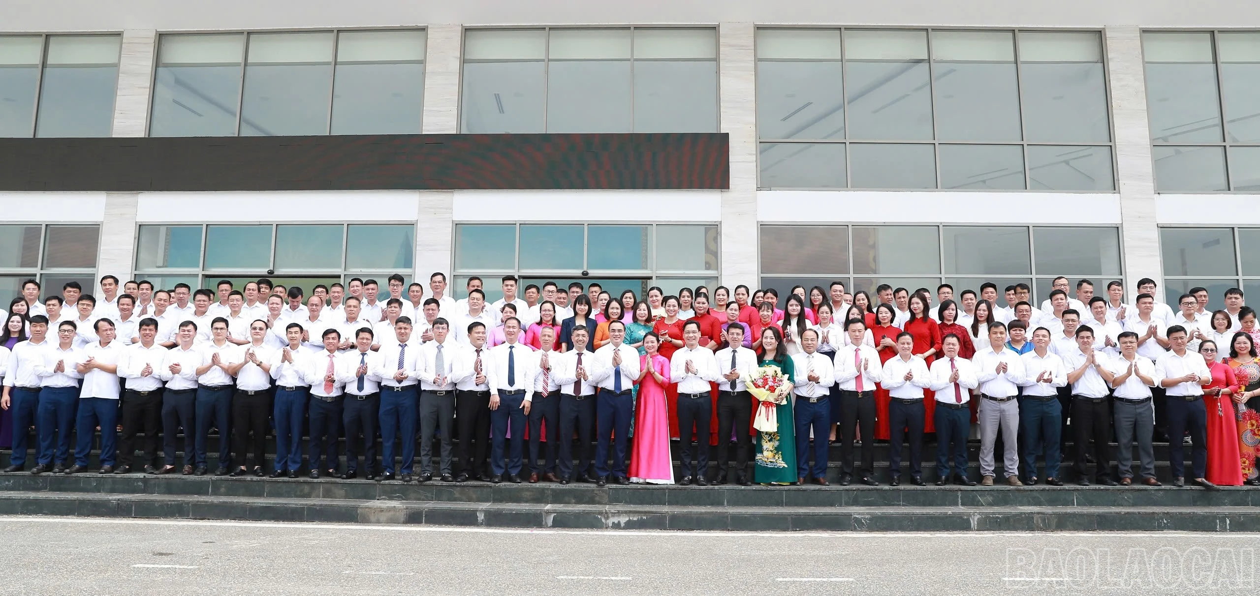 baolaocai-br_d11.jpg